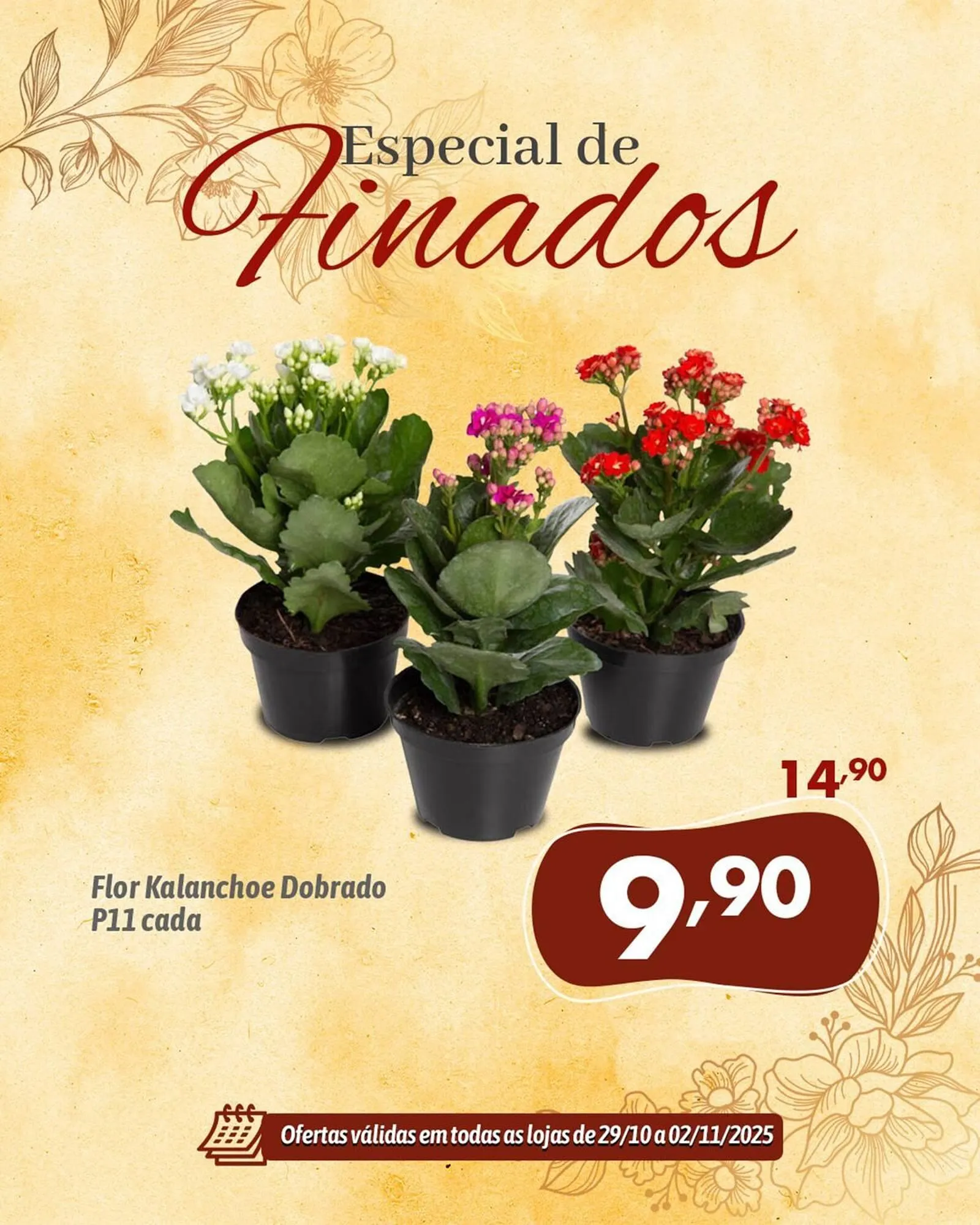 Encarte de Catálogo Supermercados Big Compra 29 de outubro até 2 de novembro 2025 - Pagina 2