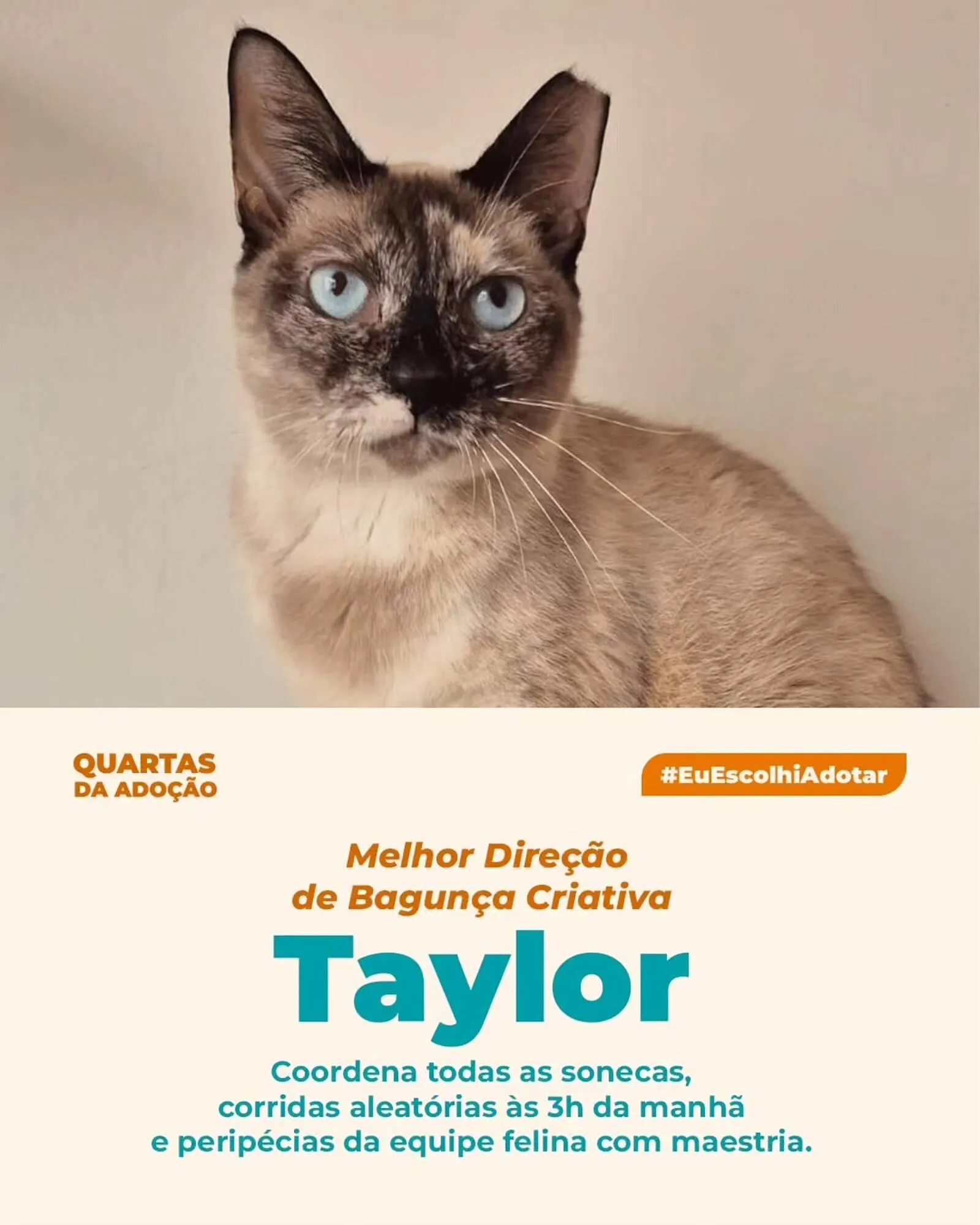 Encarte de Catálogo Cobasi 11 de março até 15 de março 2026 - Pagina 2