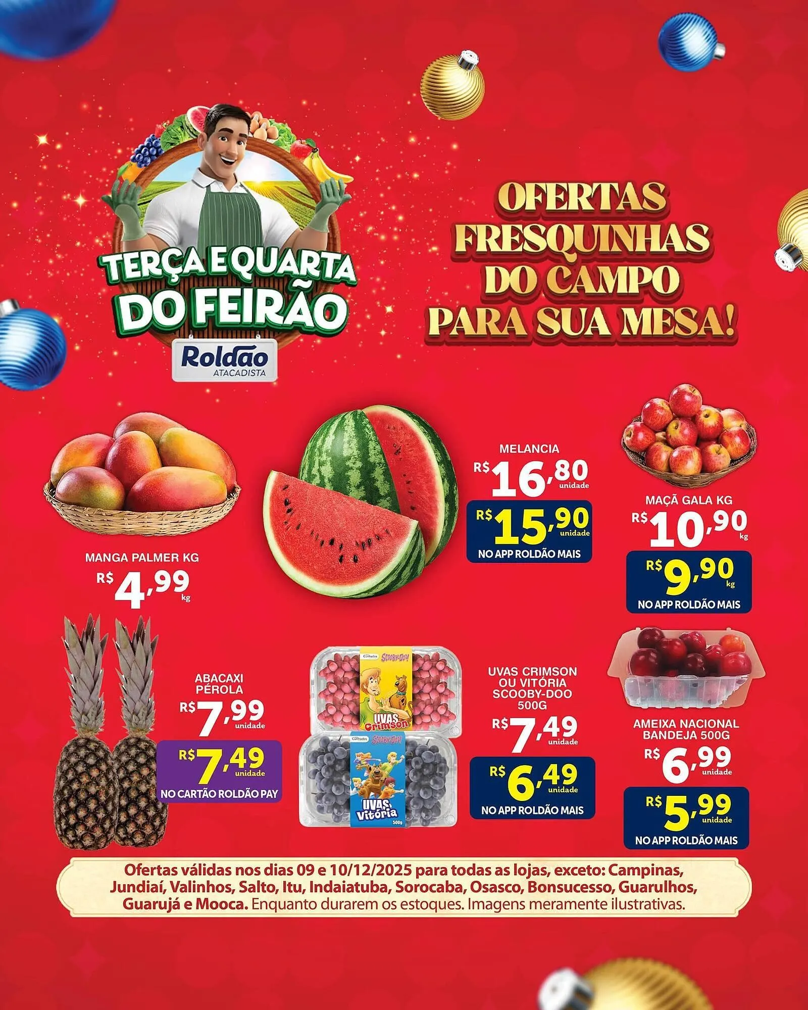 Encarte de Folheto Roldão 9 de dezembro até 10 de dezembro 2025 - Pagina 1