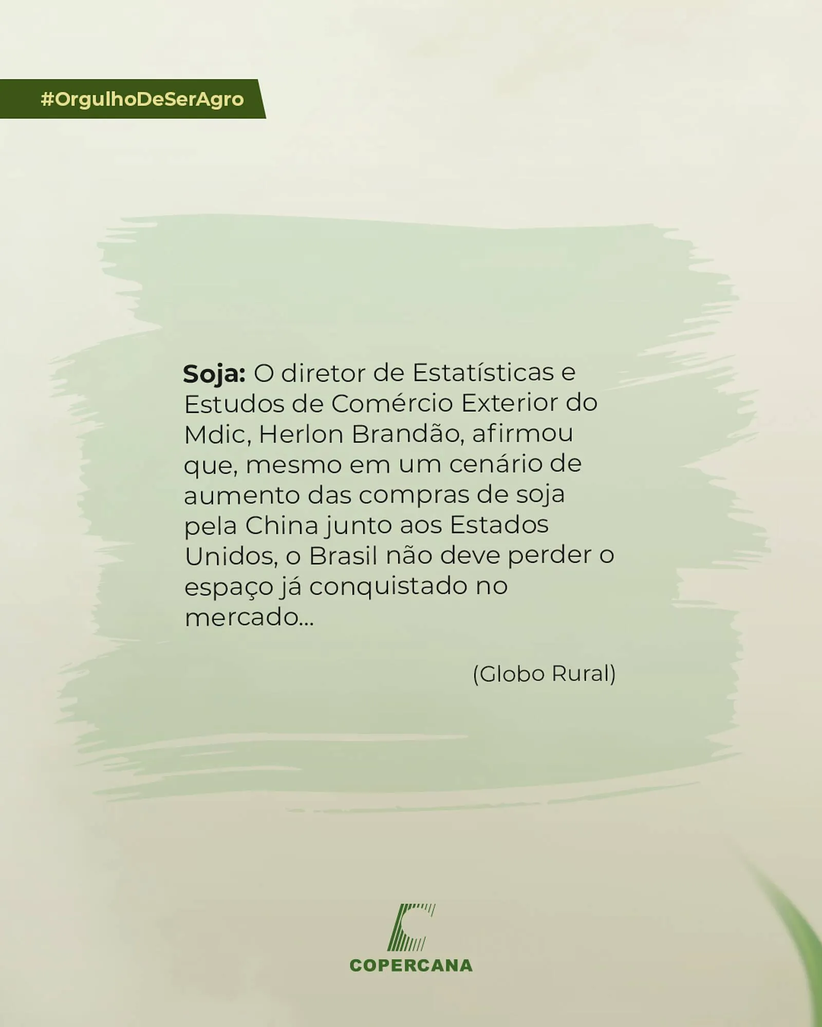 Encarte de Tabloide Copercana 8 de janeiro até 8 de janeiro 2026 - Pagina 4