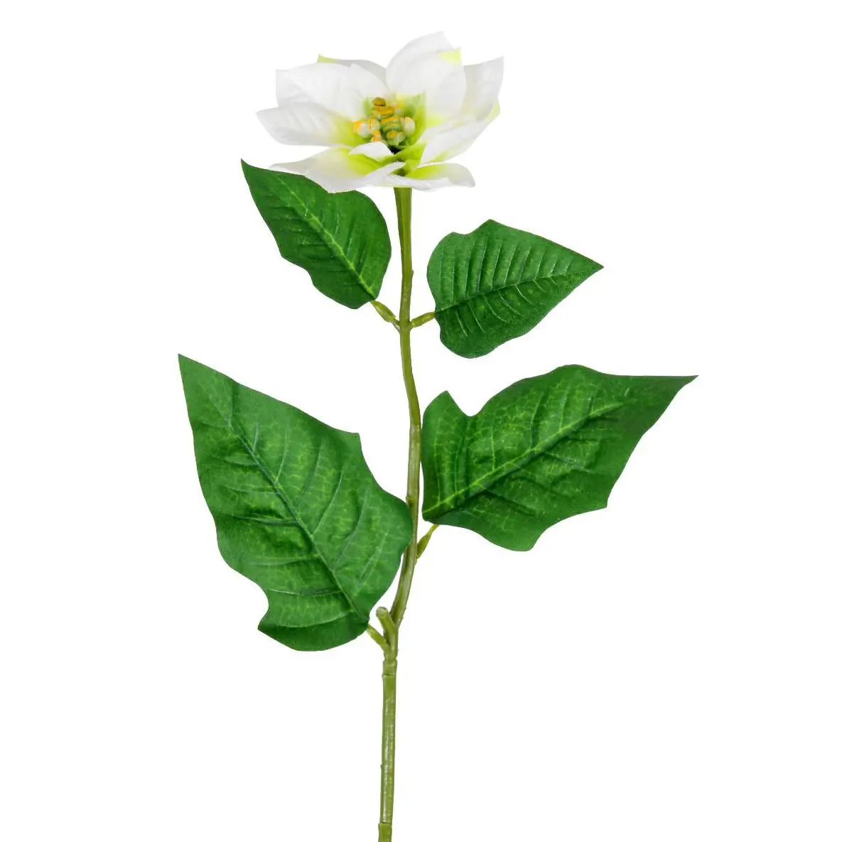 Haste Natalina Bico de Papagaio 52cm Creme