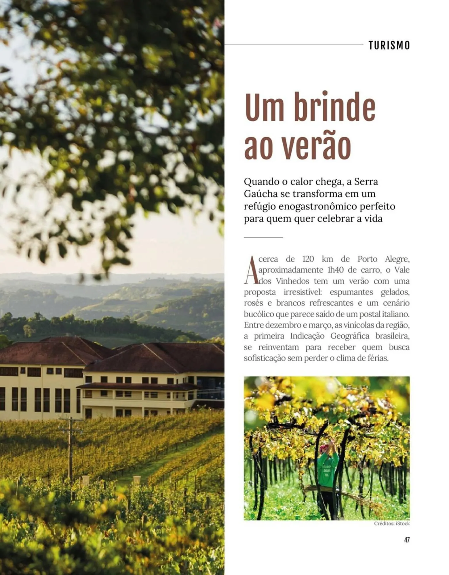 Encarte de Encarte Festval 18 de dezembro até 31 de dezembro 2025 - Pagina 47