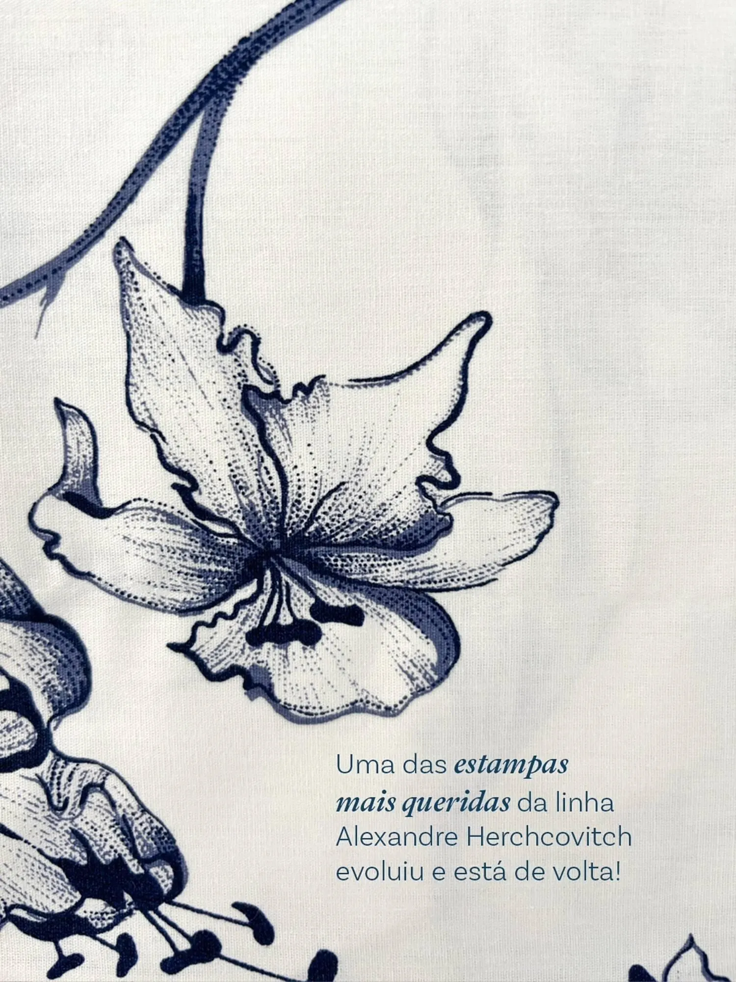 Encarte de Catálogo Zelo 27 de abril até 30 de abril 2026 - Pagina 1