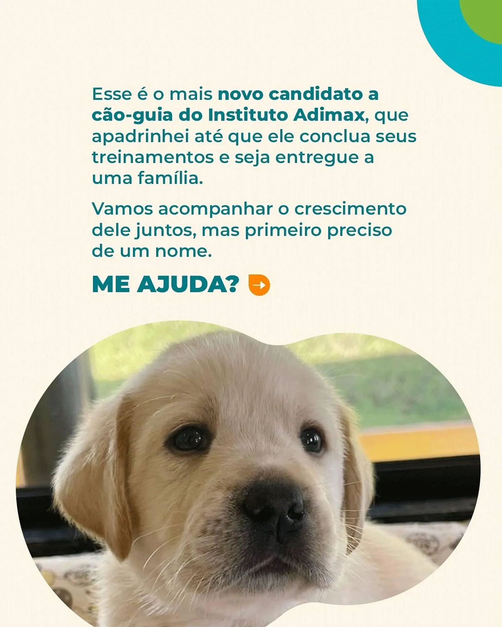 Encarte de Catálogo Cobasi 10 de março até 17 de março 2026 - Pagina 2