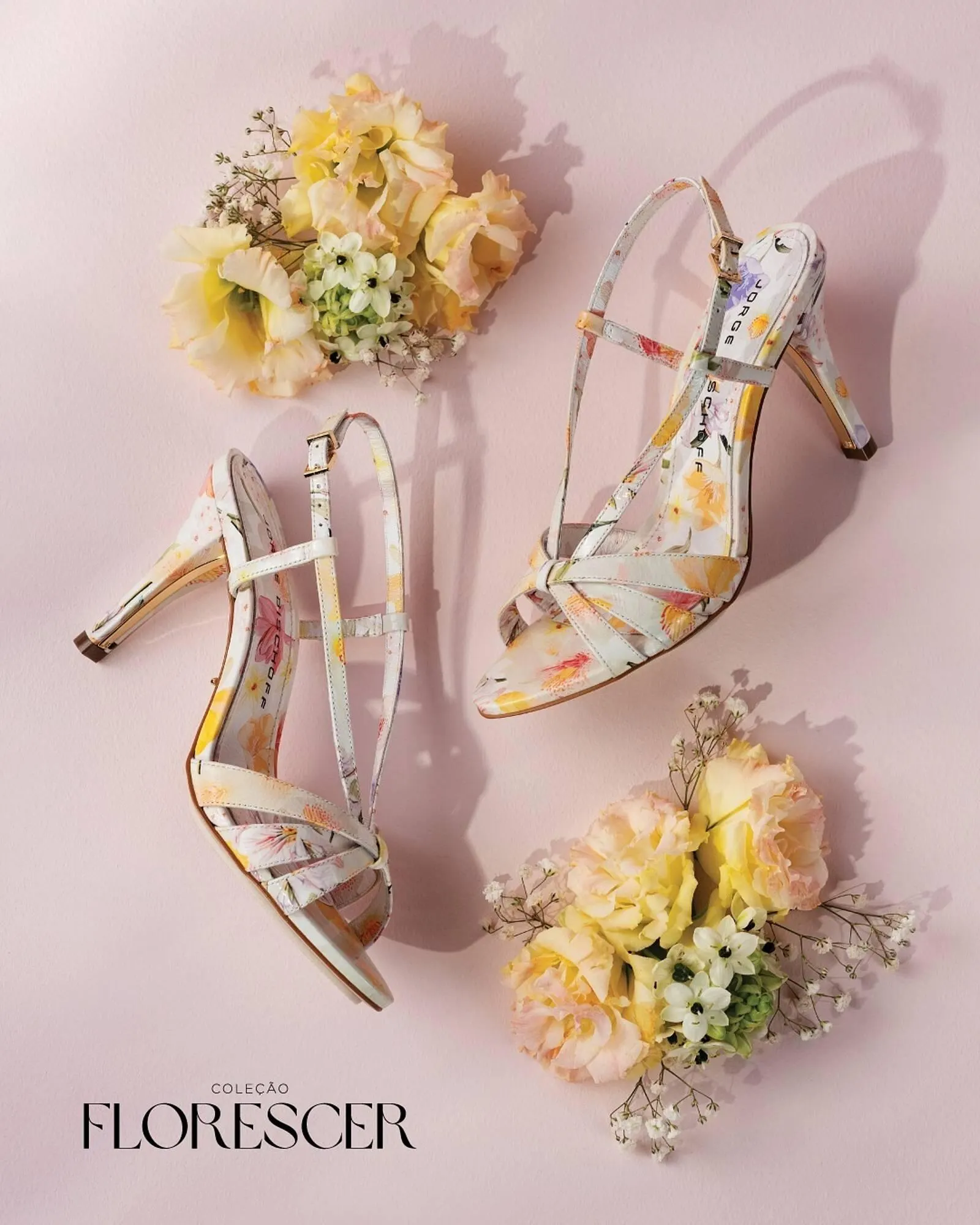 Catálogo Jorge Bischoff - 1