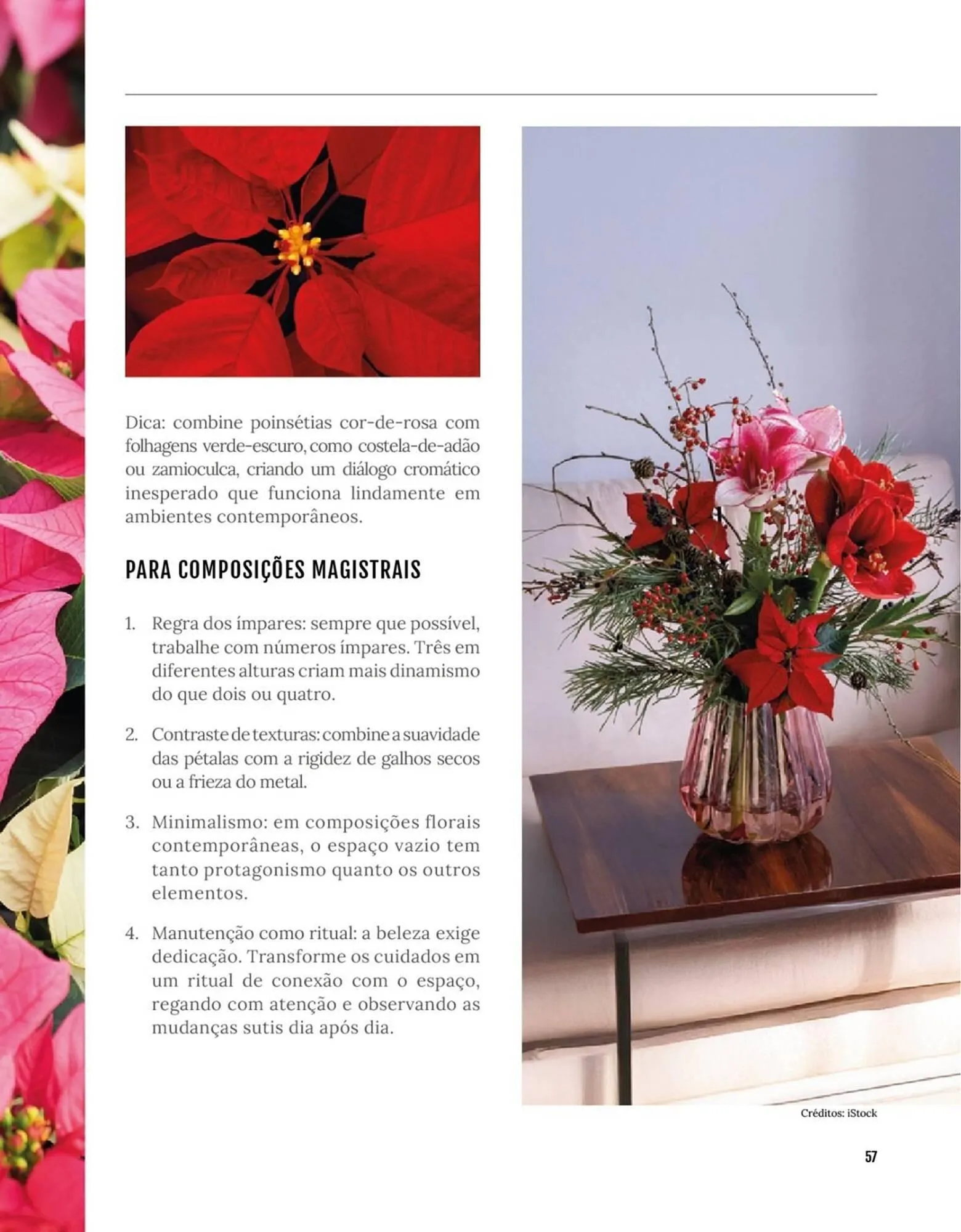 Encarte de Encarte Festval 18 de dezembro até 31 de dezembro 2025 - Pagina 57