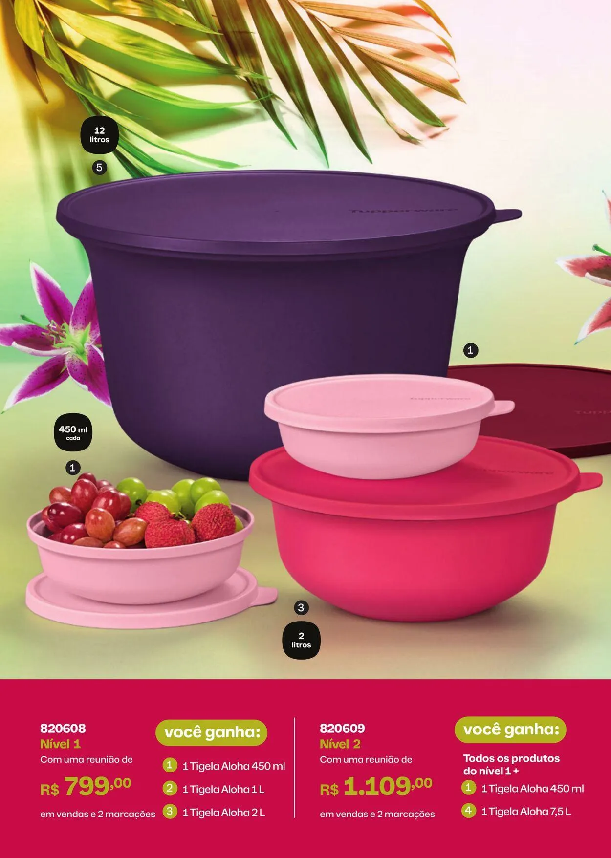 Encarte de Tupperware 1 de maio até 31 de maio 2025 - Pagina 58