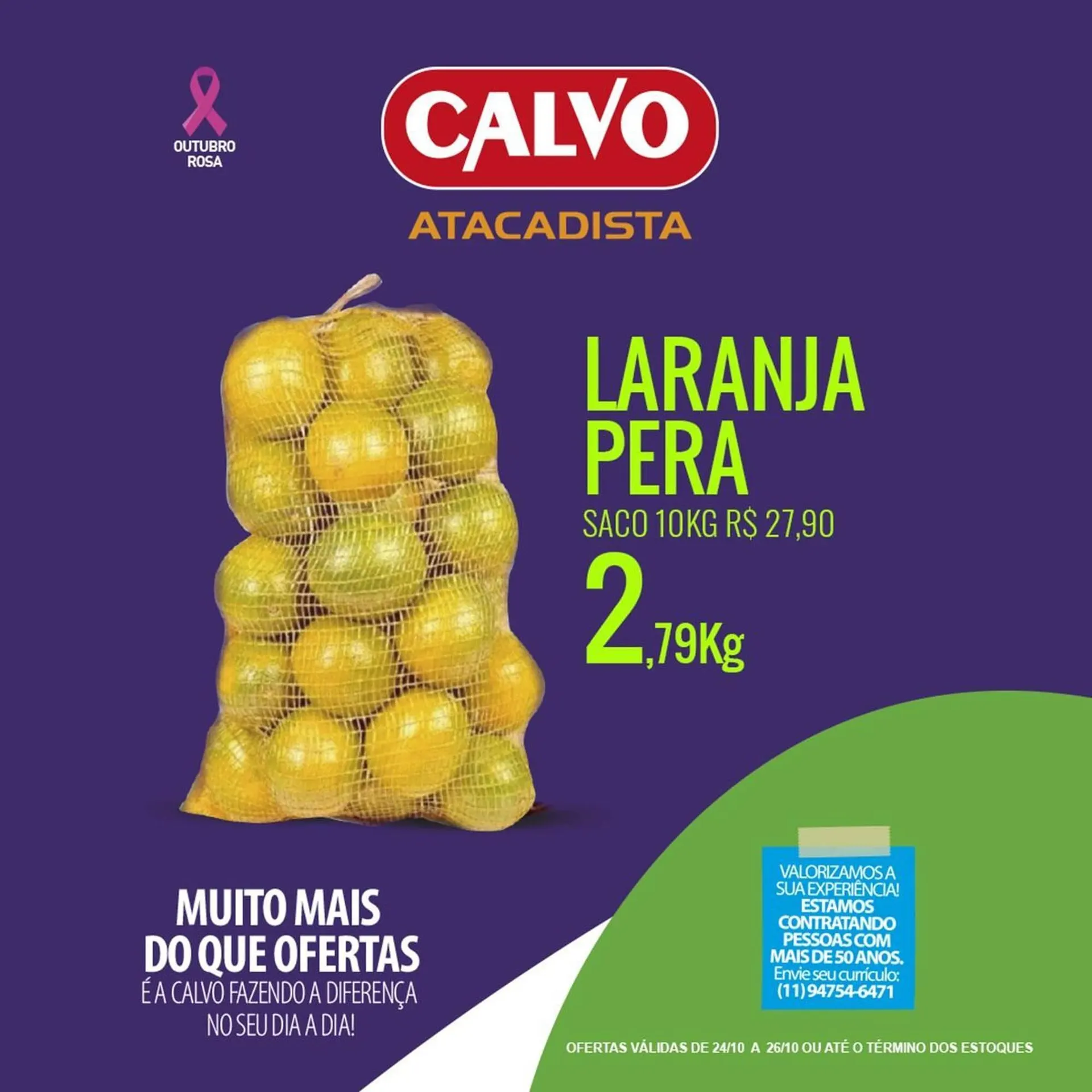 Folheto Calvo Atacadista - 1