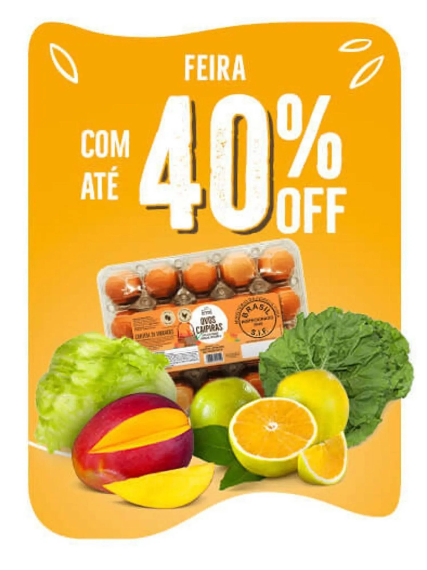 Catálogo Natural da Terra - 1