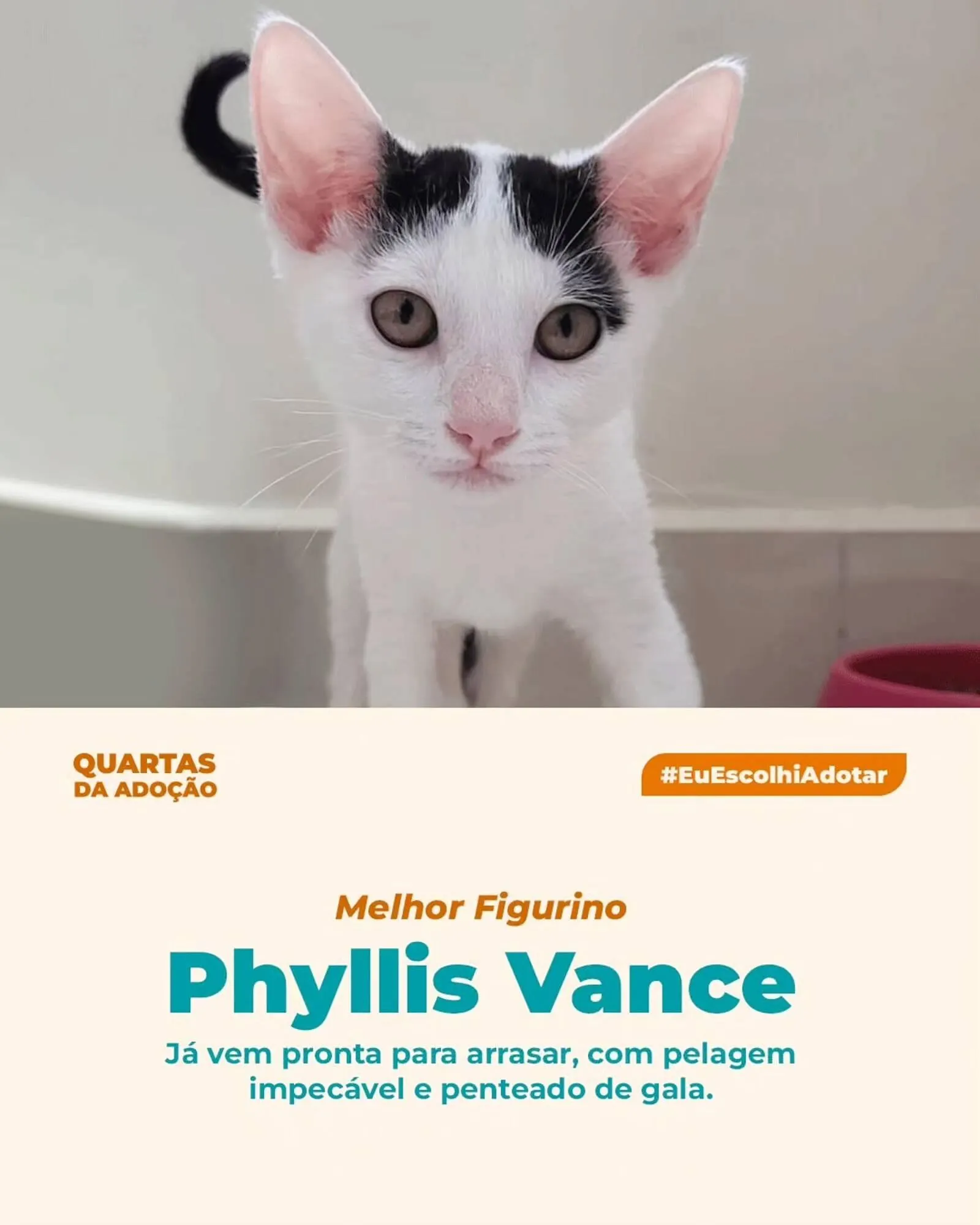 Encarte de Catálogo Cobasi 11 de março até 15 de março 2026 - Pagina 4