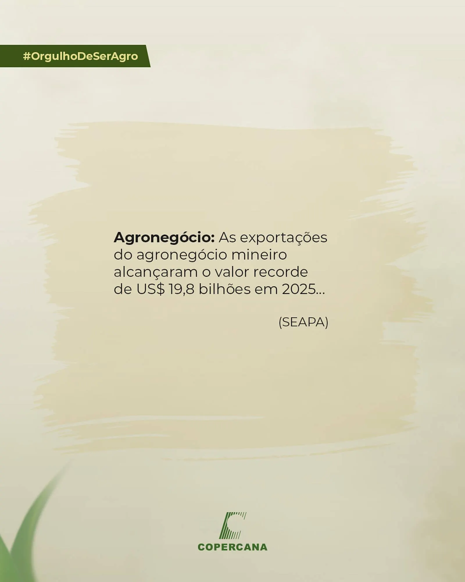 Encarte de Tabloide Copercana 8 de janeiro até 8 de janeiro 2026 - Pagina 5