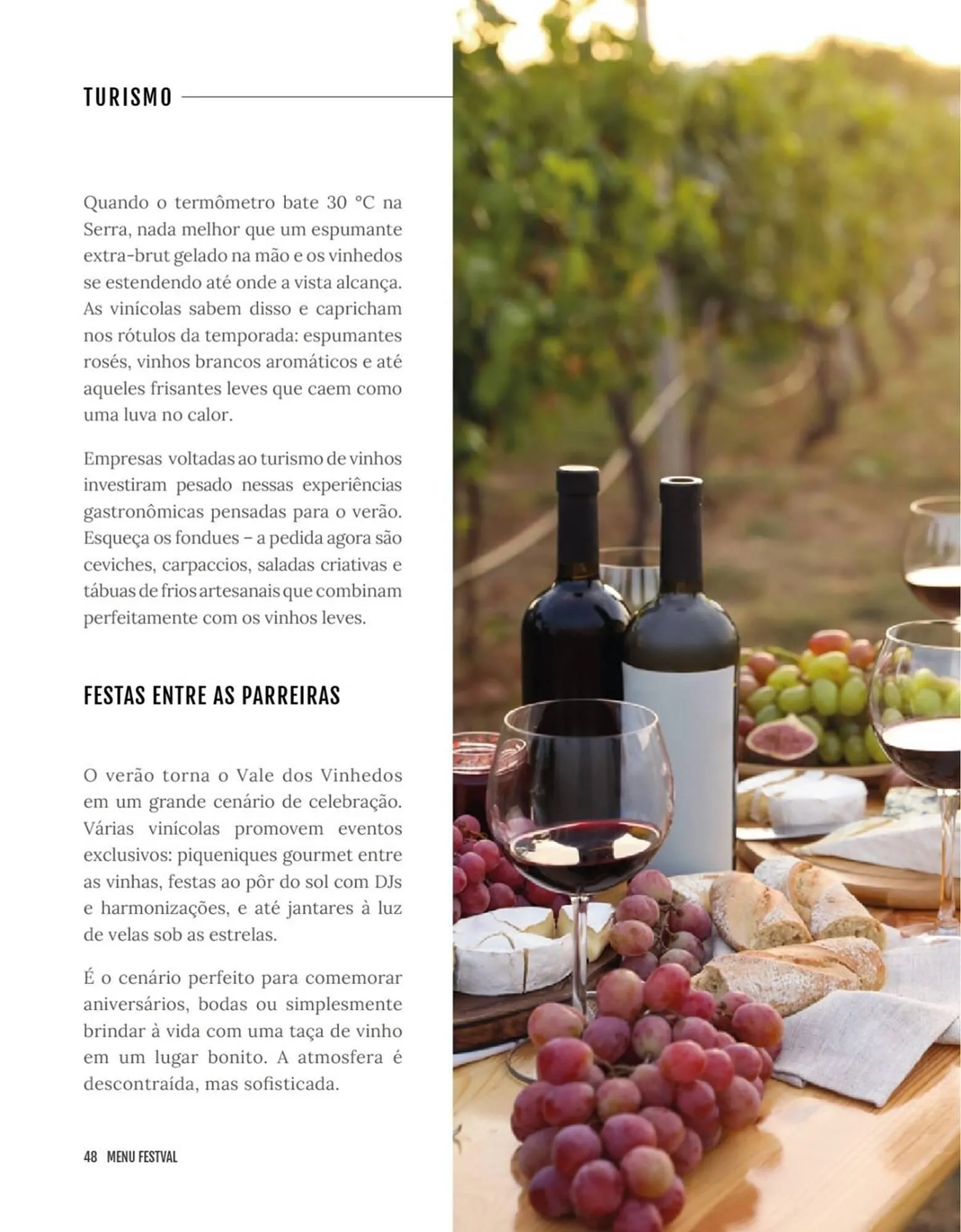 Encarte de Encarte Festval 18 de dezembro até 31 de dezembro 2025 - Pagina 48