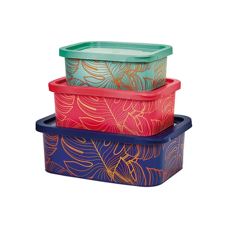 Jogo 3 Potes Retangulares Natural Gold