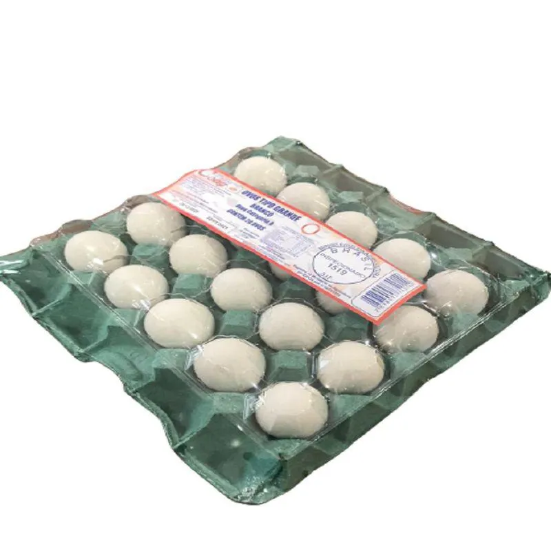 Ovo Branco Coag Com 20 Grande