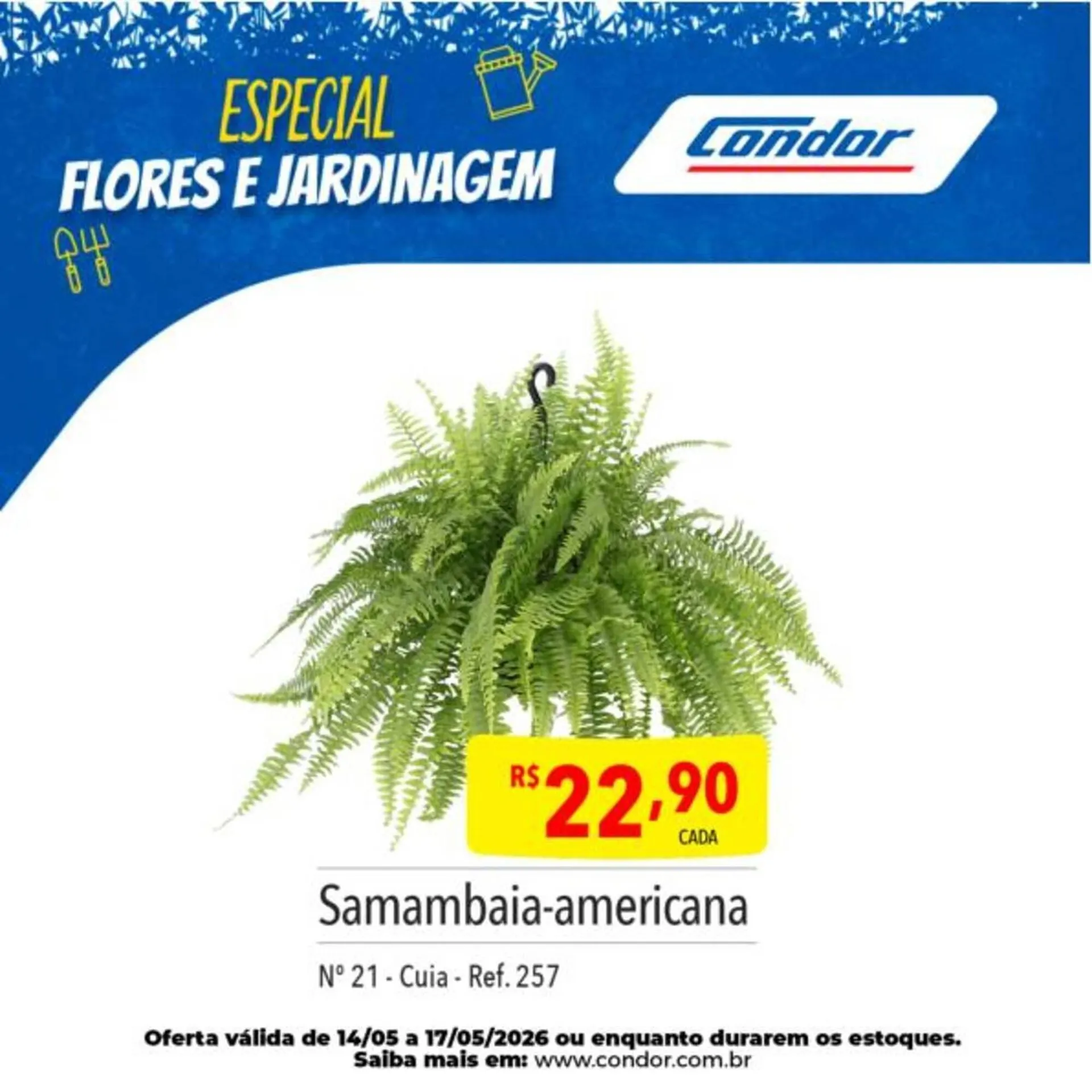 Encarte de Catálogo Supermercados Condor 12 de maio até 14 de maio 2026 - Pagina 21
