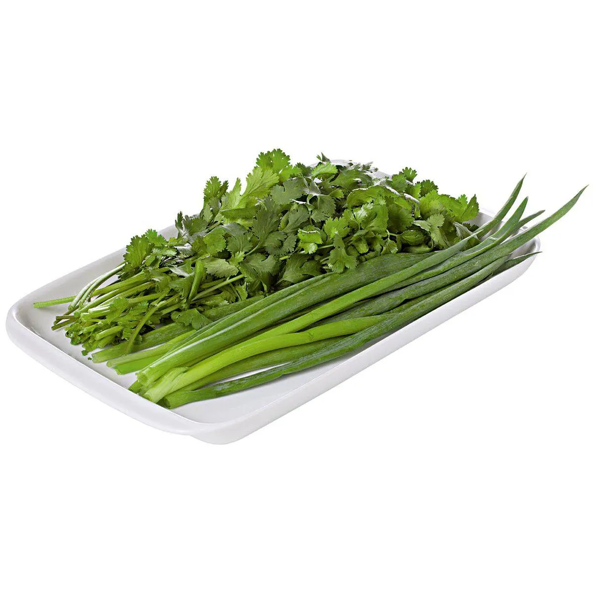 Coentro e Cebolinha QUALITÁ Maço