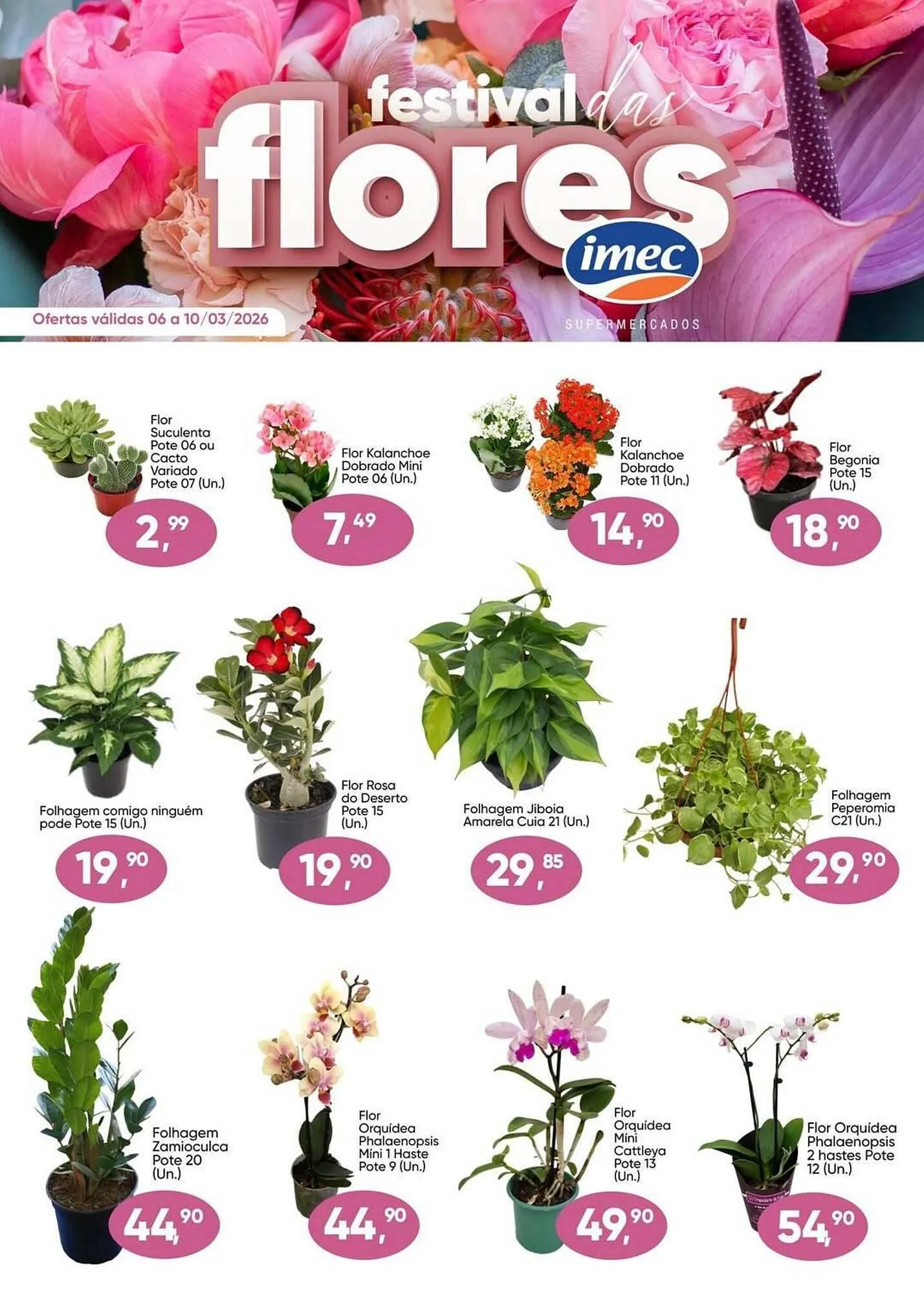 Encarte de Catálogo Imec Supermercados 6 de março até 10 de março 2026 - Pagina 1