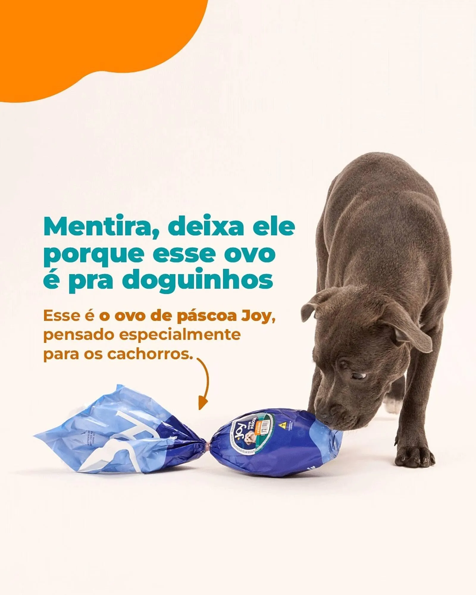 Encarte de Catálogo Cobasi 19 de março até 20 de março 2026 - Pagina 2