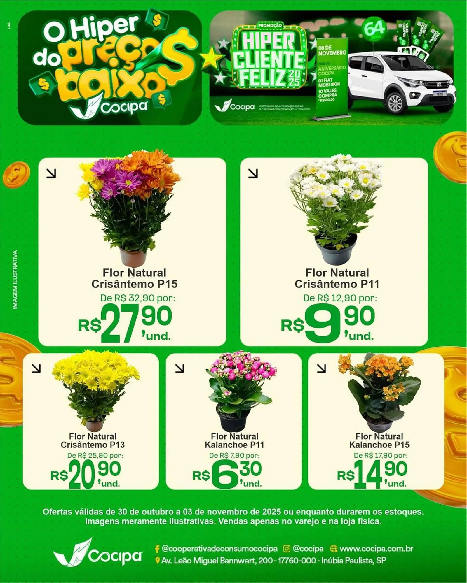 Catálogo Cocipa - 1