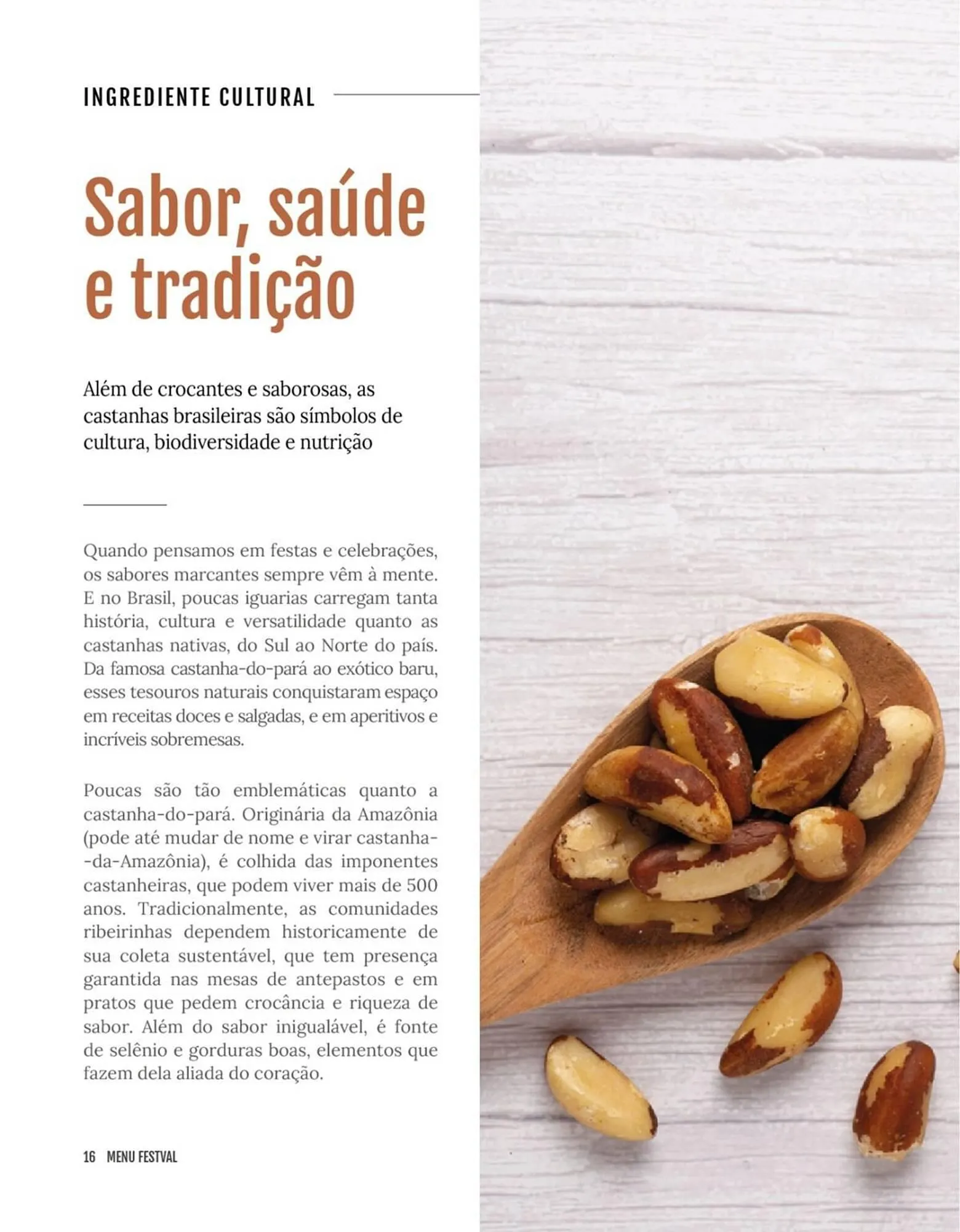 Encarte de Encarte Festval 18 de dezembro até 31 de dezembro 2025 - Pagina 16