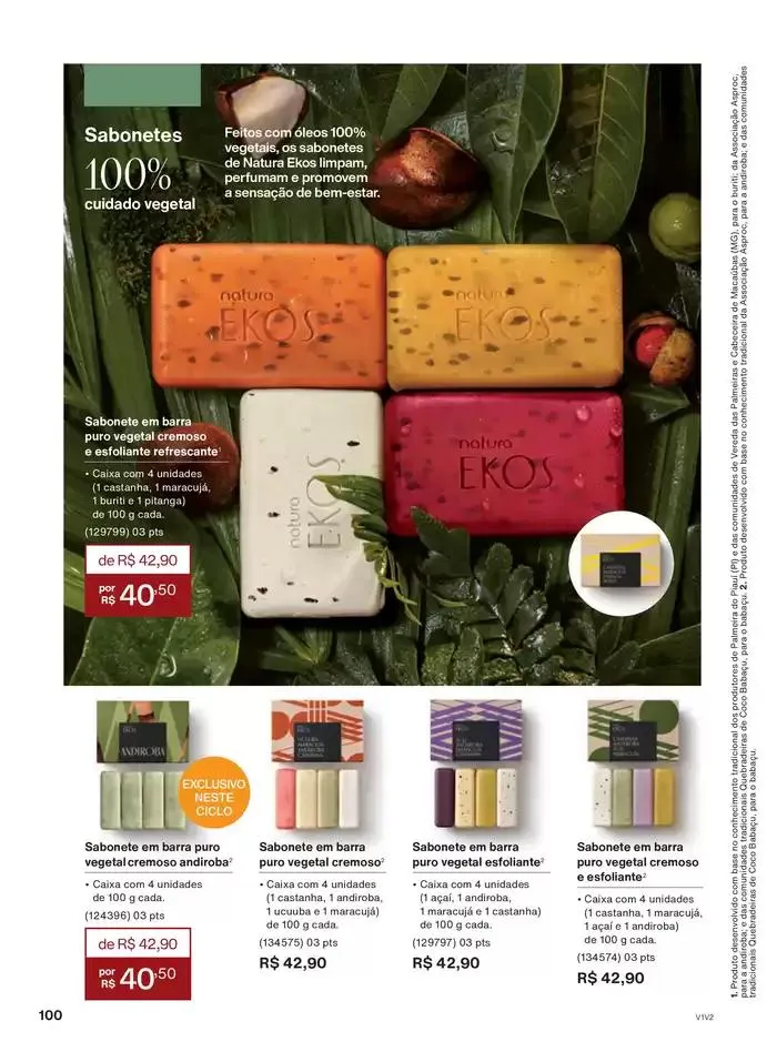 Encarte de Revista Natura Ciclo 3 31 de janeiro até 15 de março 2025 - Pagina 100