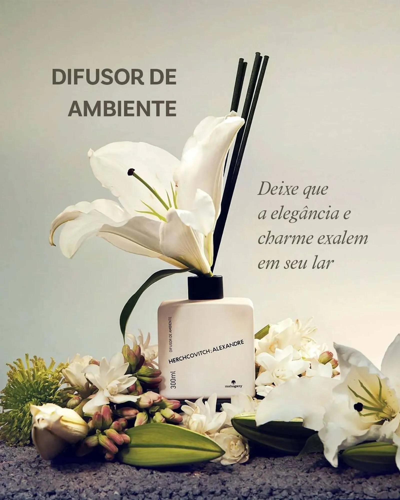 Encarte de Catálogo Zelo 4 de março até 31 de março 2025 - Pagina 2