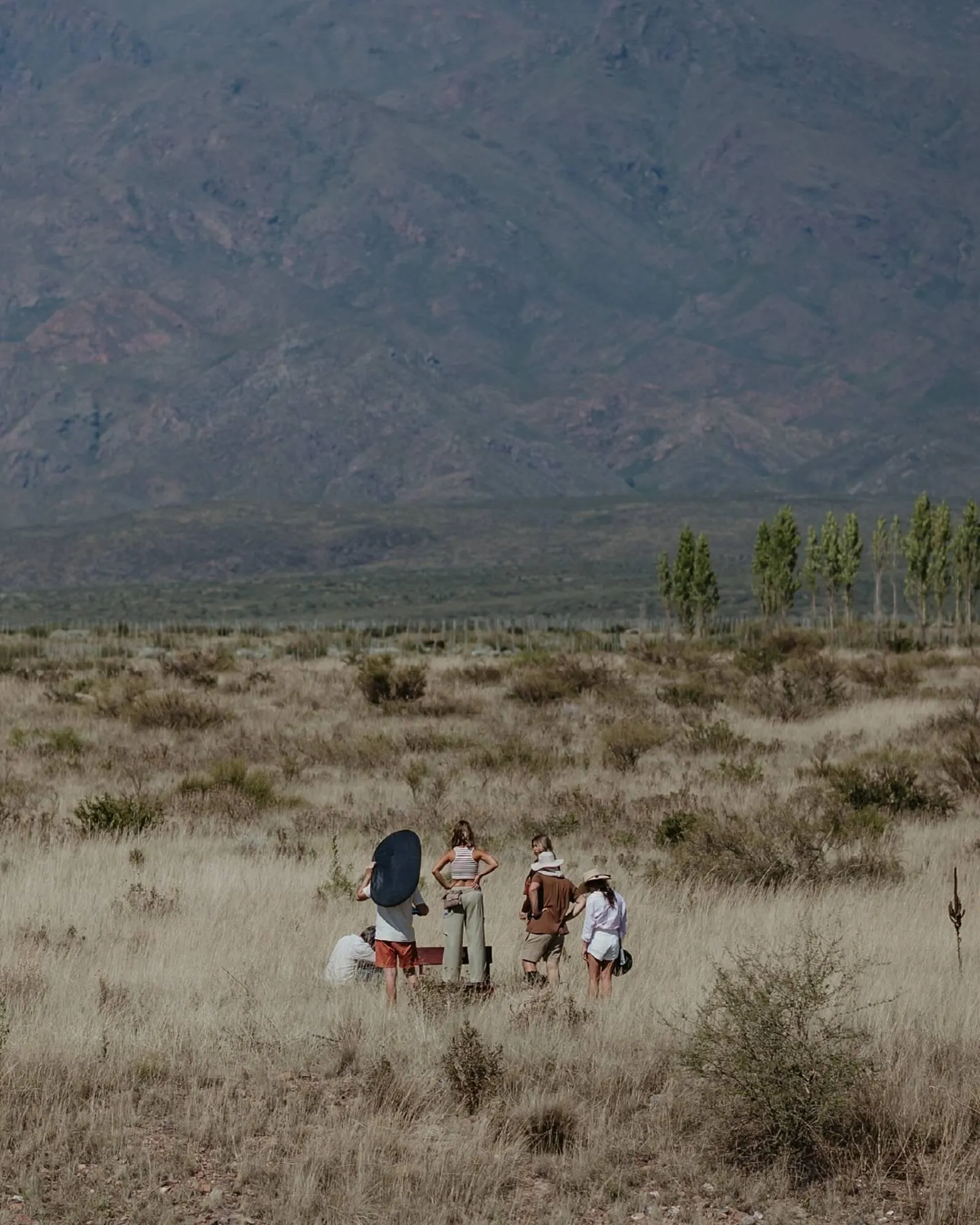 Encarte de Catálogo Jorge Bischoff 4 de março até 10 de março 2026 - Pagina 4