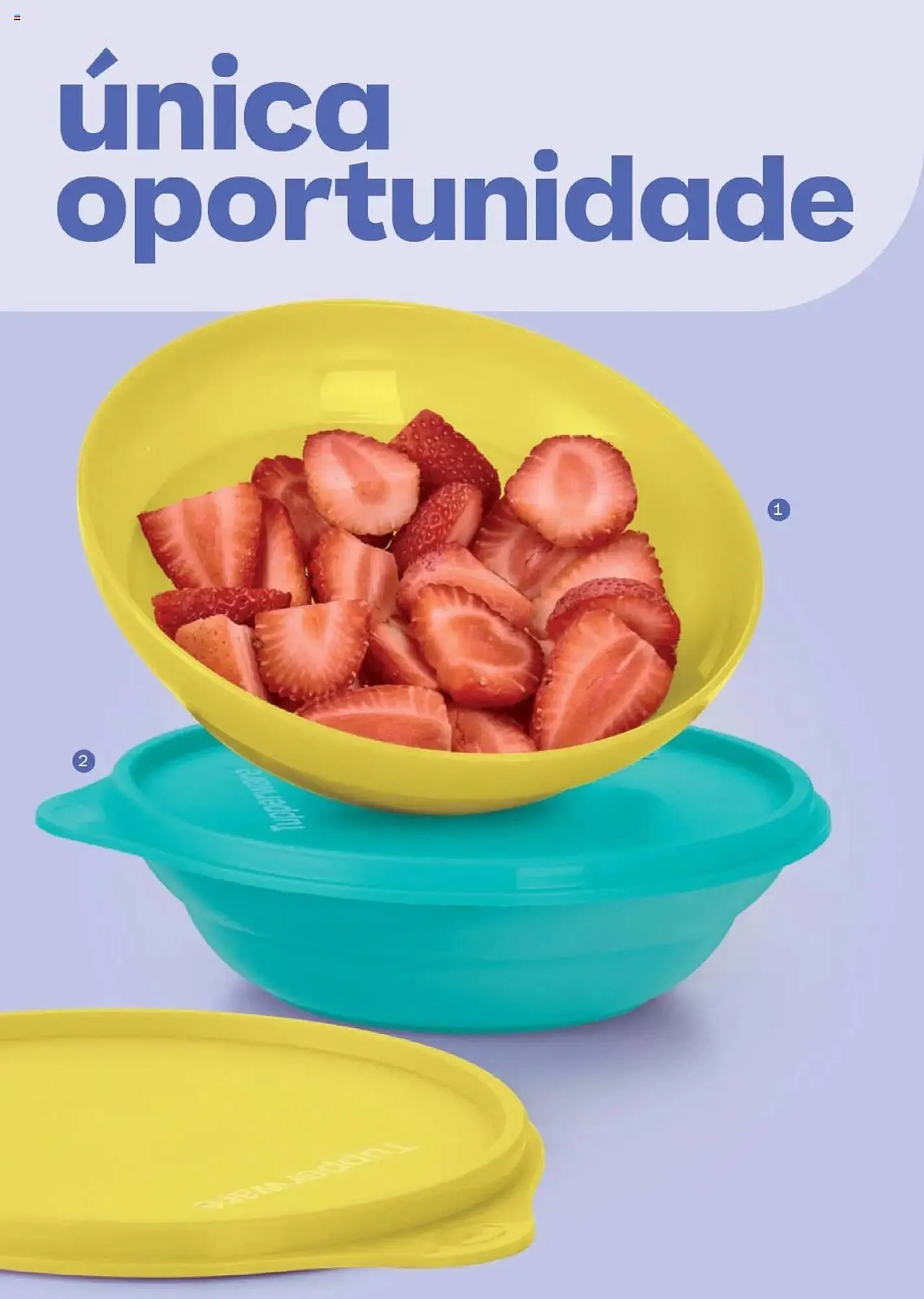 Encarte de Catálogo Tupperware 16 de junho até 14 de agosto 2025 - Pagina 48