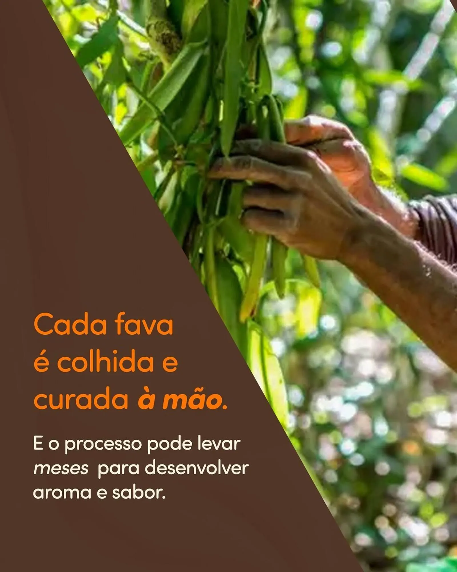 Encarte de Folheto Chocolândia 20 de abril até 25 de abril 2026 - Pagina 3