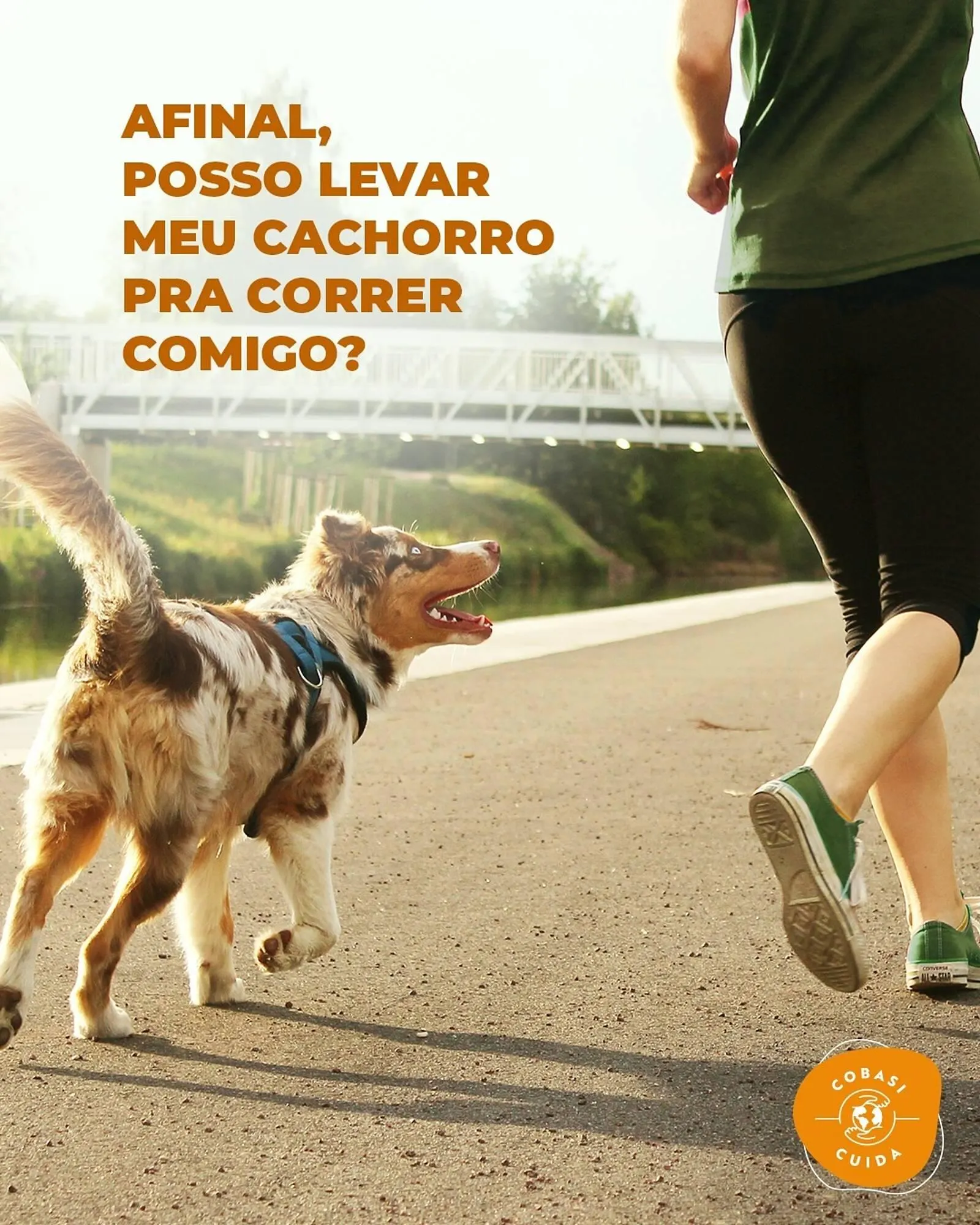 Catálogo Cobasi - 1