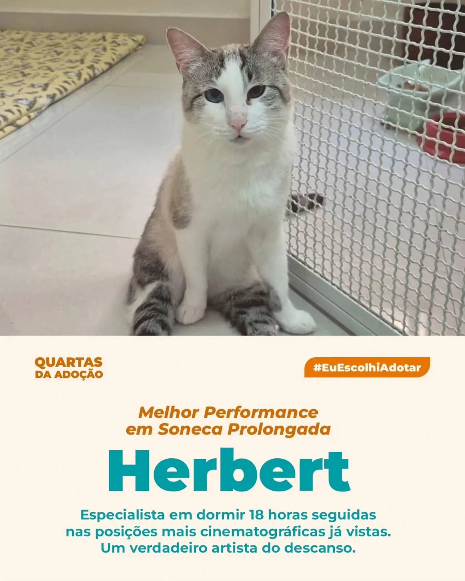 Encarte de Catálogo Cobasi 11 de março até 15 de março 2026 - Pagina 1