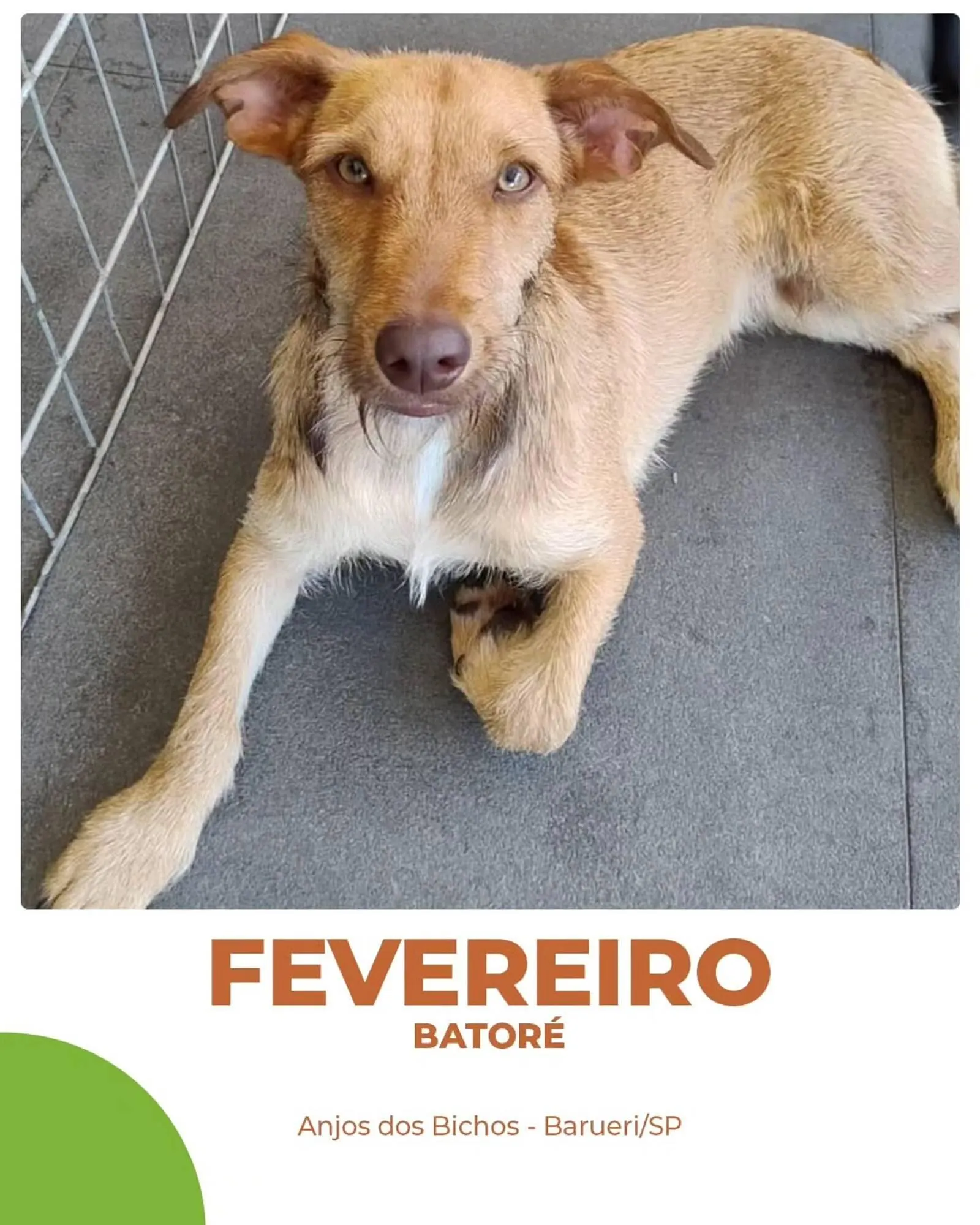 Encarte de Catálogo Cobasi 2 de julho até 10 de julho 2025 - Pagina 3