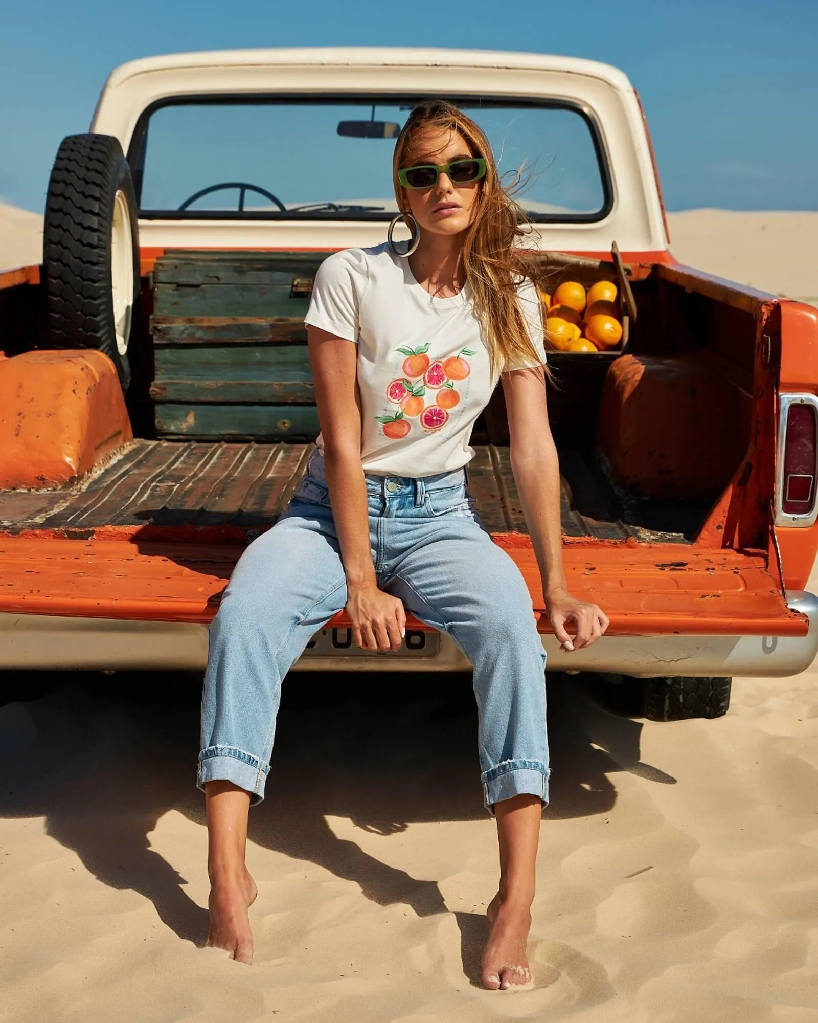 Catálogo Beagle - 1