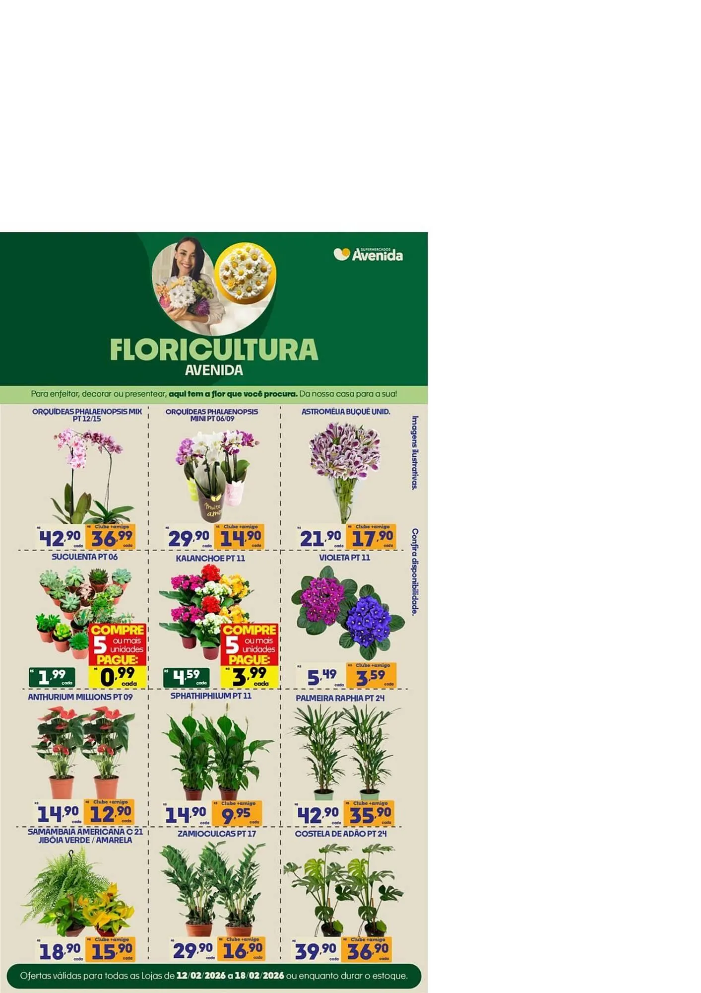 Encarte de Catálogo Supermercados Avenida 17 de fevereiro até 22 de fevereiro 2026 - Pagina 13