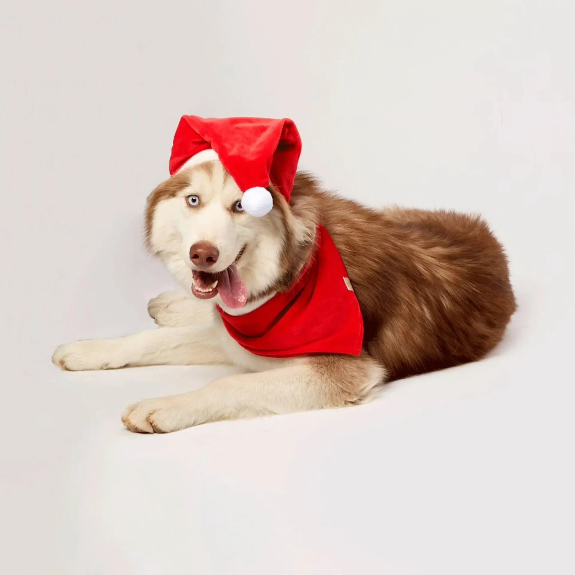 Encarte de Catálogo Cobasi 12 de dezembro até 18 de dezembro 2025 - Pagina 4