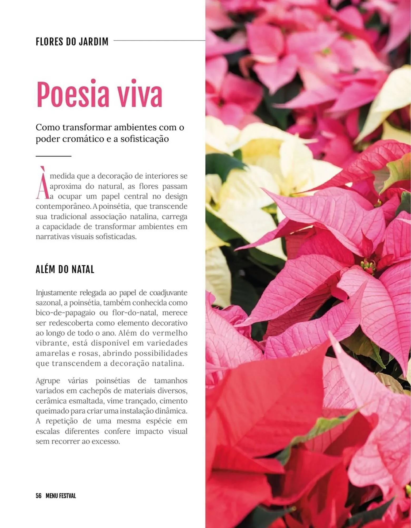 Encarte de Encarte Festval 18 de dezembro até 31 de dezembro 2025 - Pagina 56