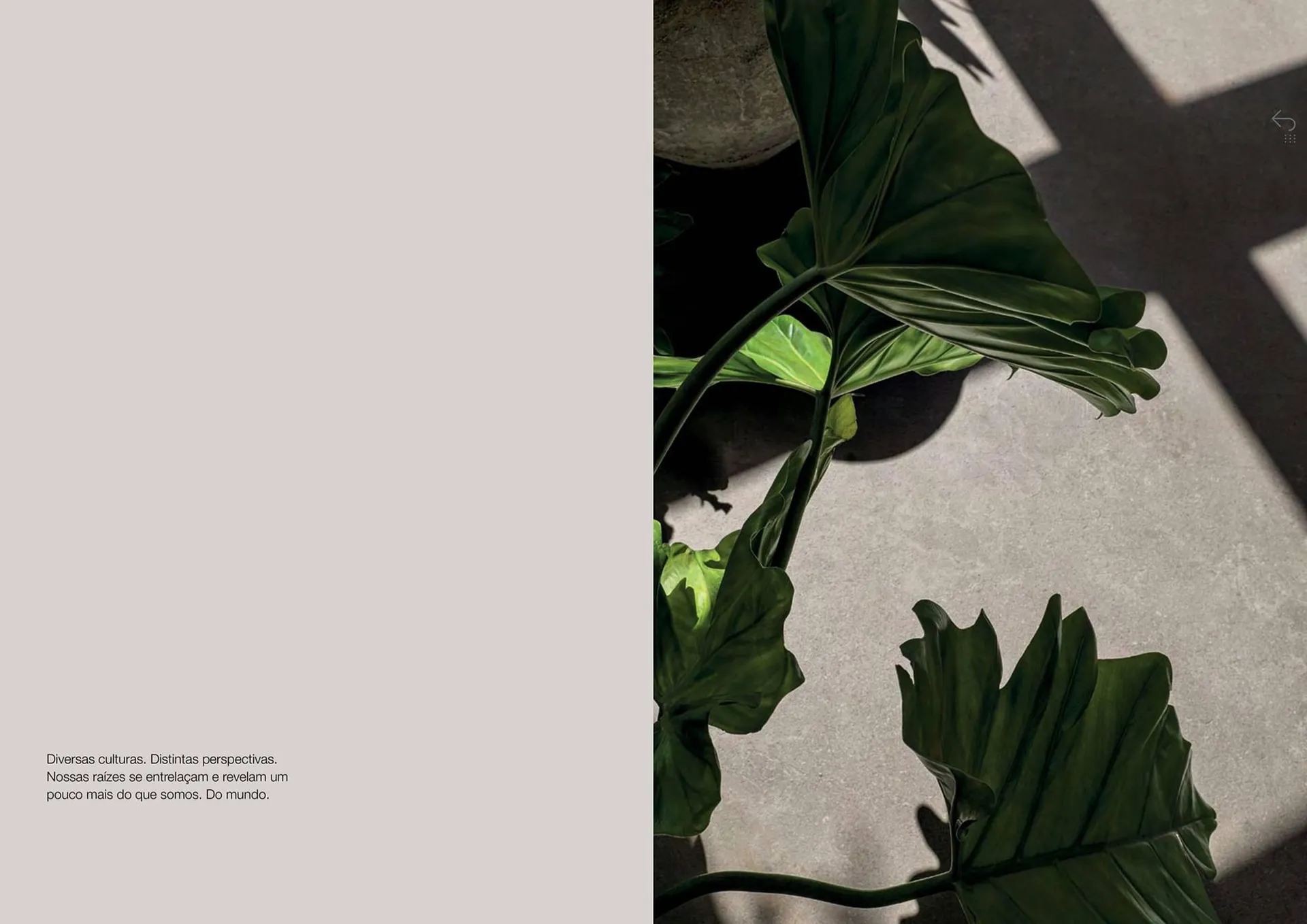 Encarte de Catálogo Portobello 11 de março até 31 de dezembro 2025 - Pagina 4