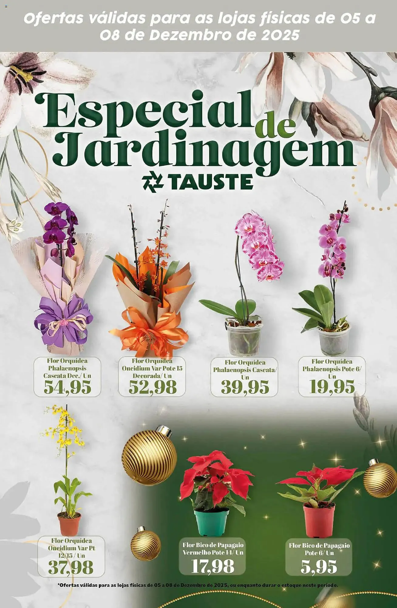 Encarte de Catálogo Supermercados Tauste 5 de dezembro até 8 de dezembro 2025 - Pagina 1