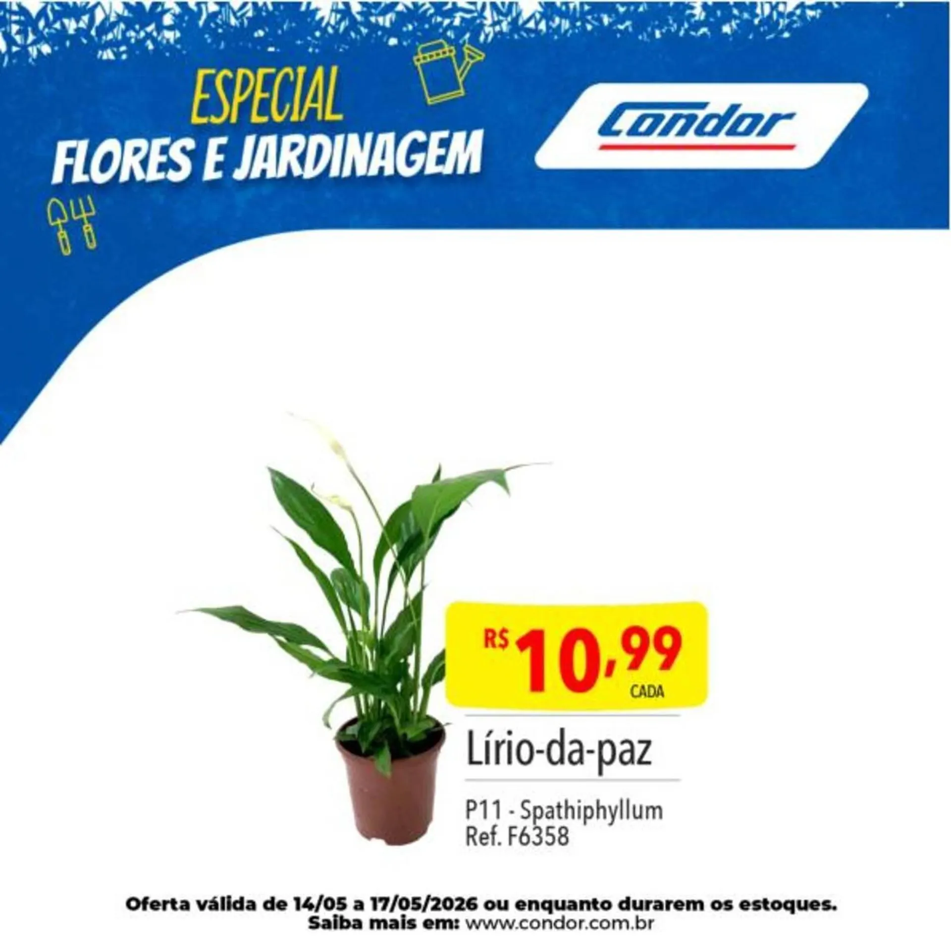 Encarte de Catálogo Supermercados Condor 12 de maio até 14 de maio 2026 - Pagina 22
