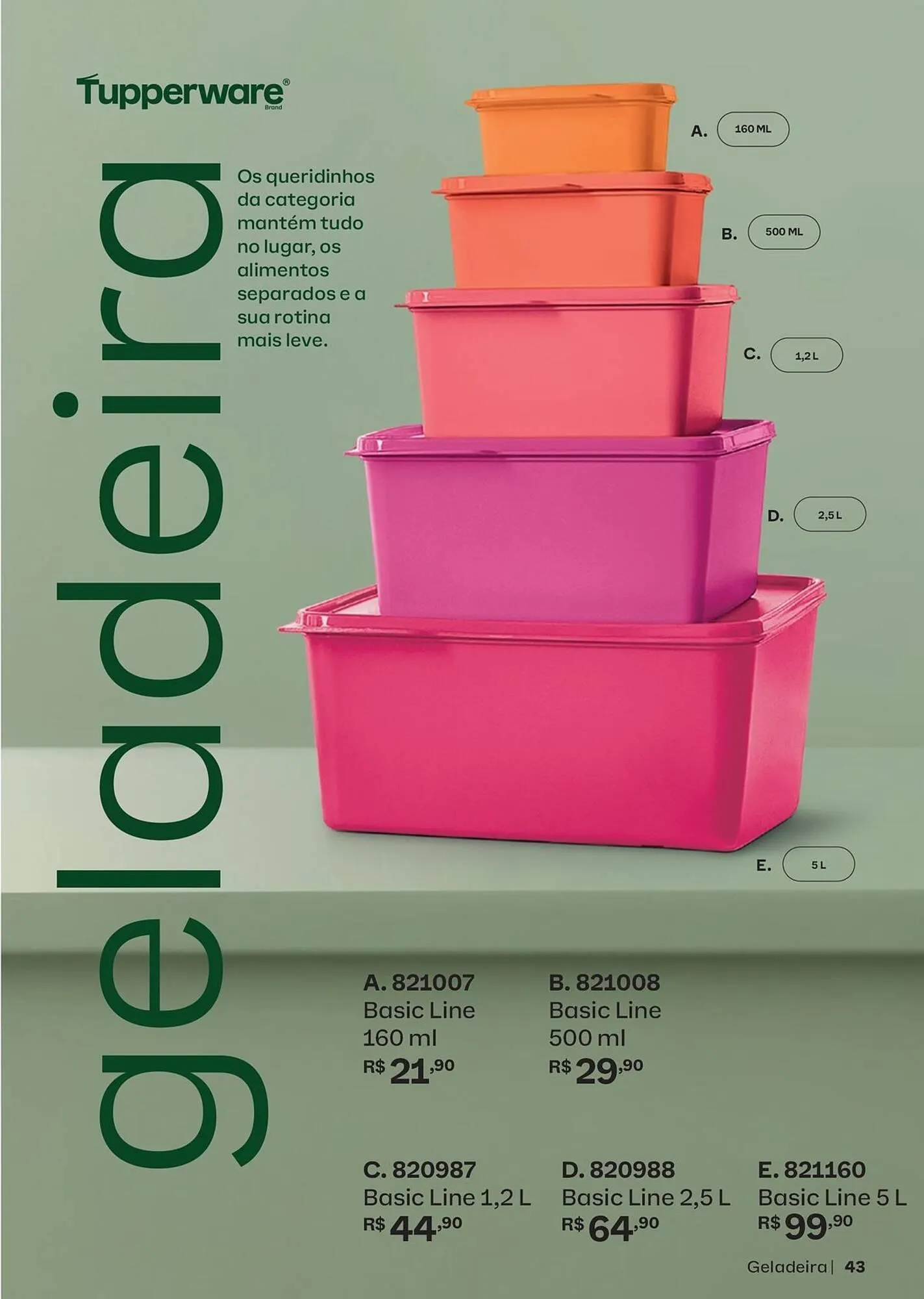Encarte de Catálogo Tupperware 8 de maio até 31 de maio 2026 - Pagina 43