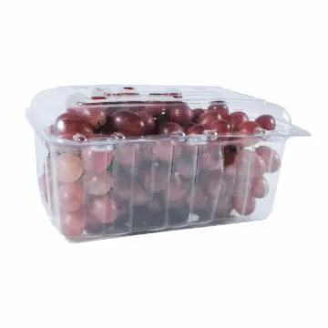 UVA NIAGARA BANDEJA 500G