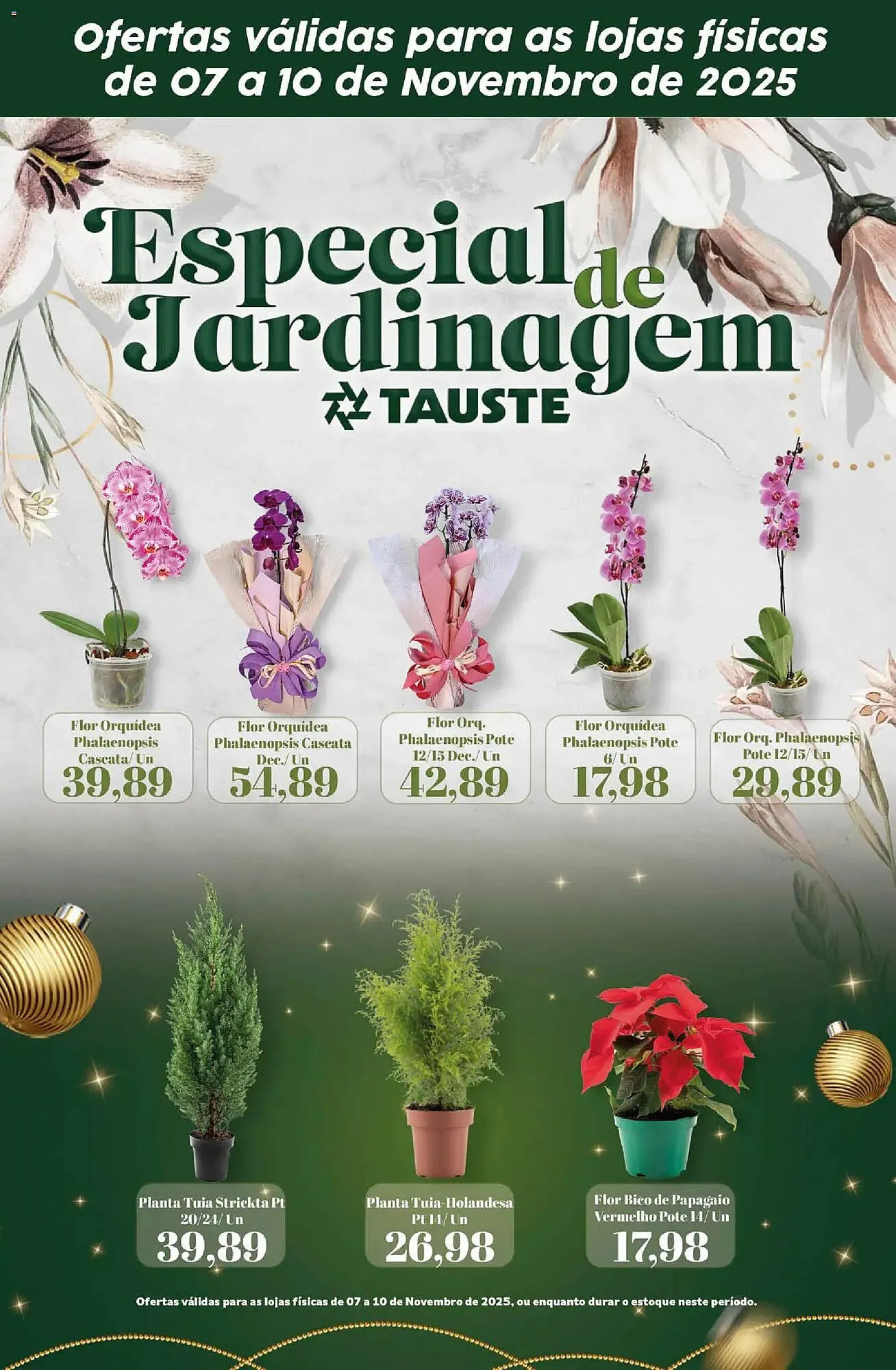 Encarte de Catálogo Supermercados Tauste 7 de novembro até 11 de novembro 2025 - Pagina 1