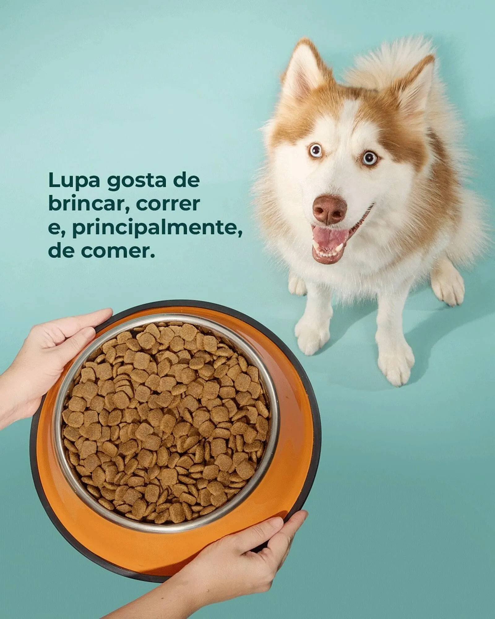 Encarte de Catálogo Cobasi 23 de março até 30 de março 2026 - Pagina 2