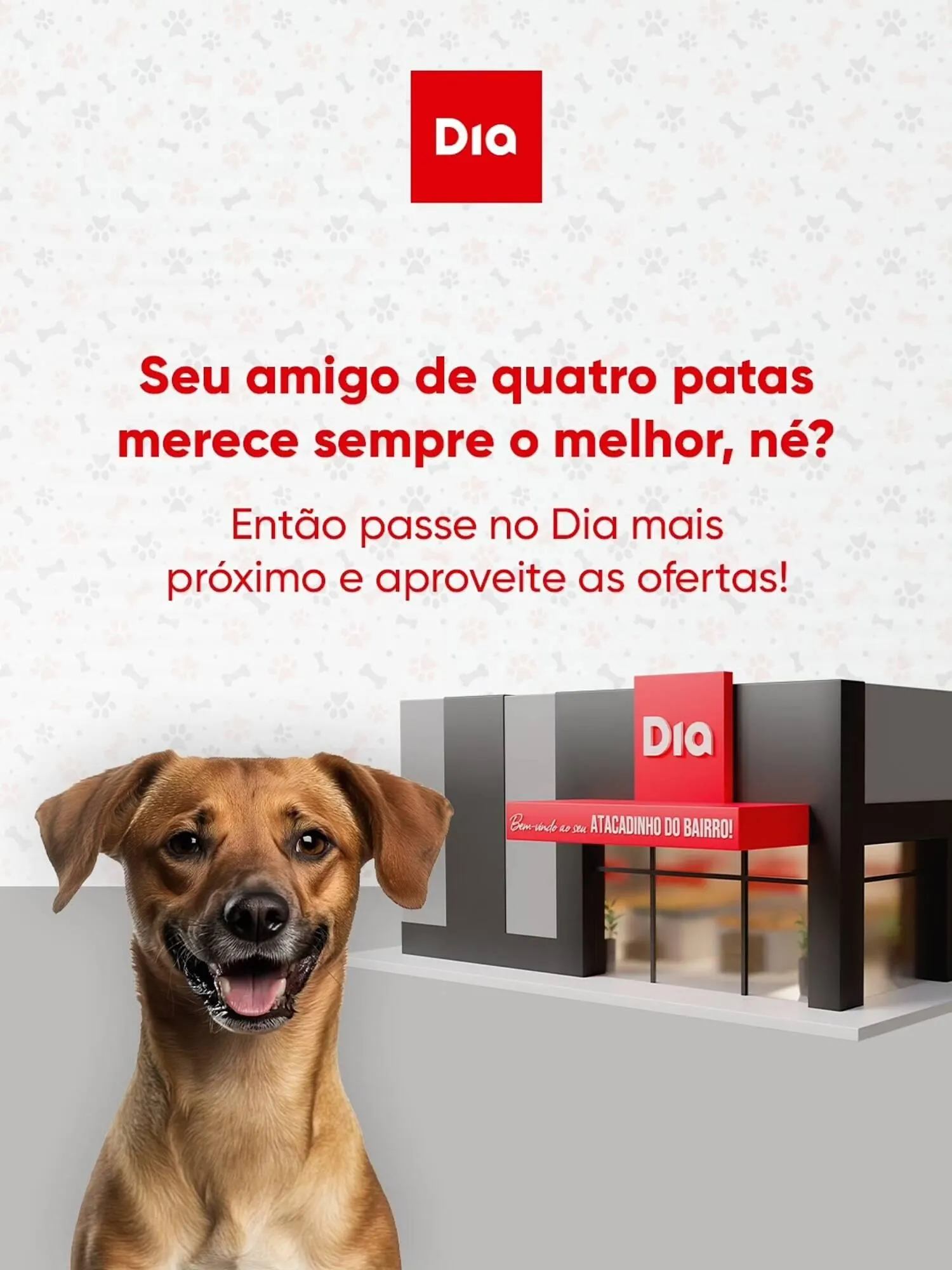 Encarte de Tabloide Dia 14 de março até 20 de março 2026 - Pagina 2