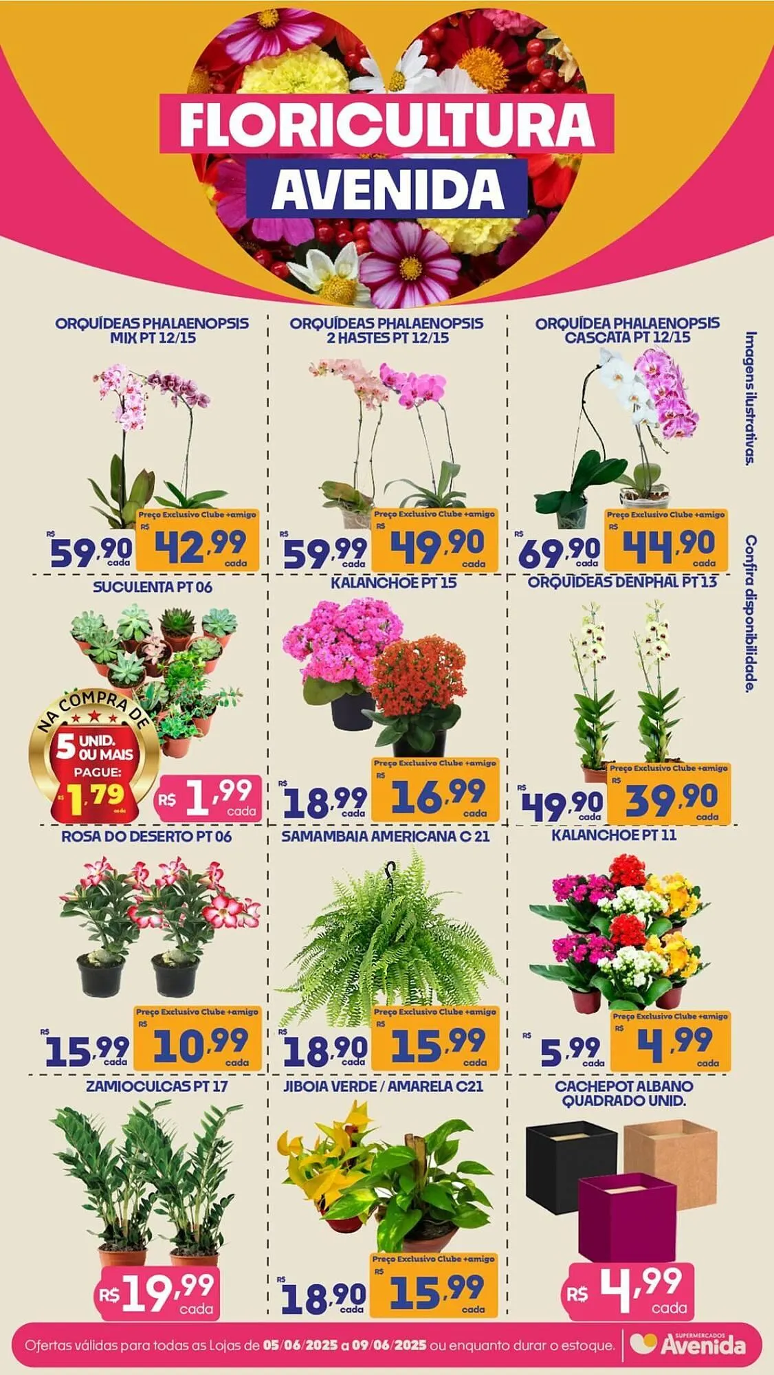 Encarte de Catálogo Supermercados Avenida 5 de junho até 9 de junho 2025 - Pagina 1
