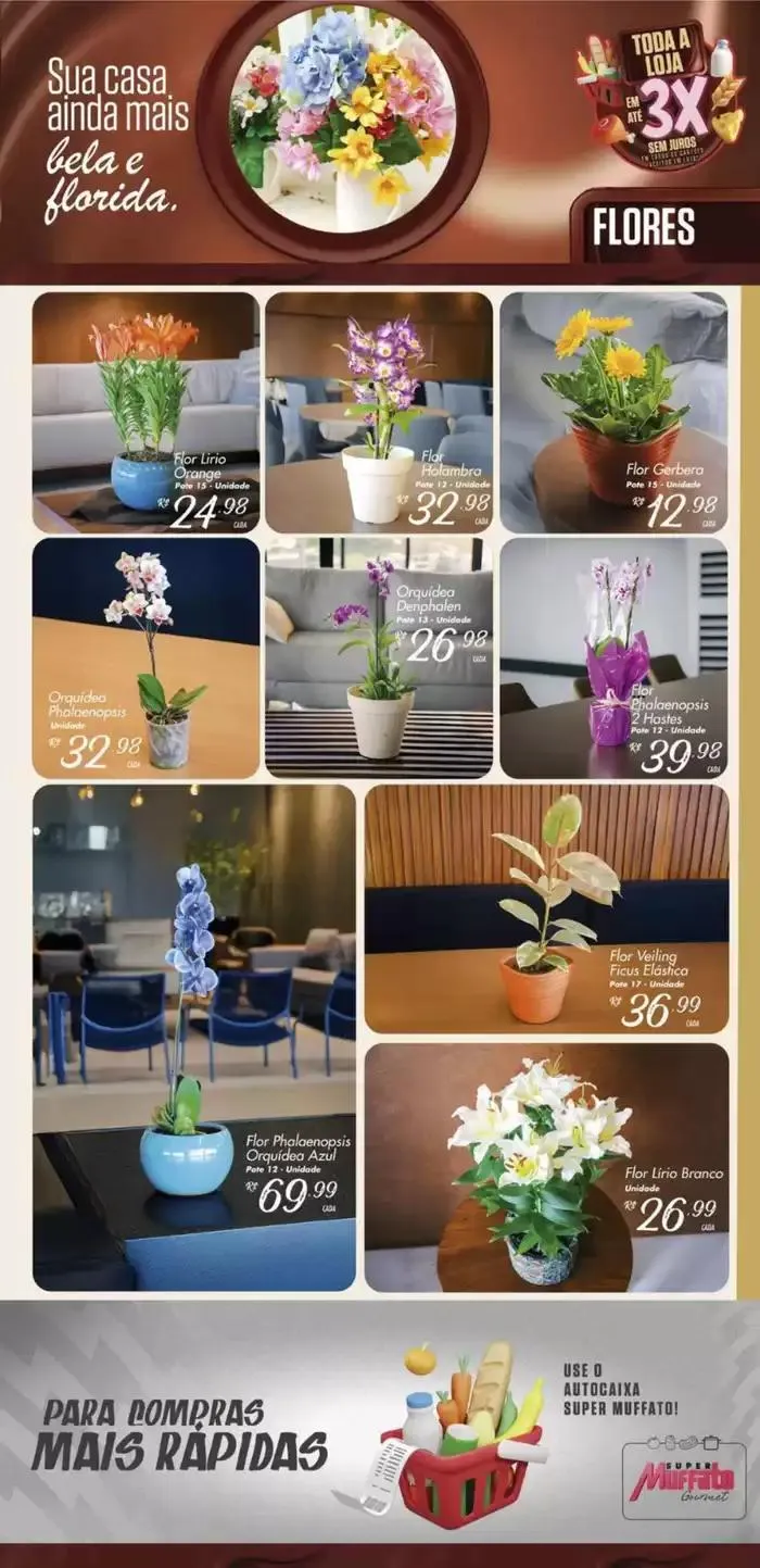 Encarte de Melhores ofertas e descontos 24 de março até 3 de abril 2025 - Pagina 19