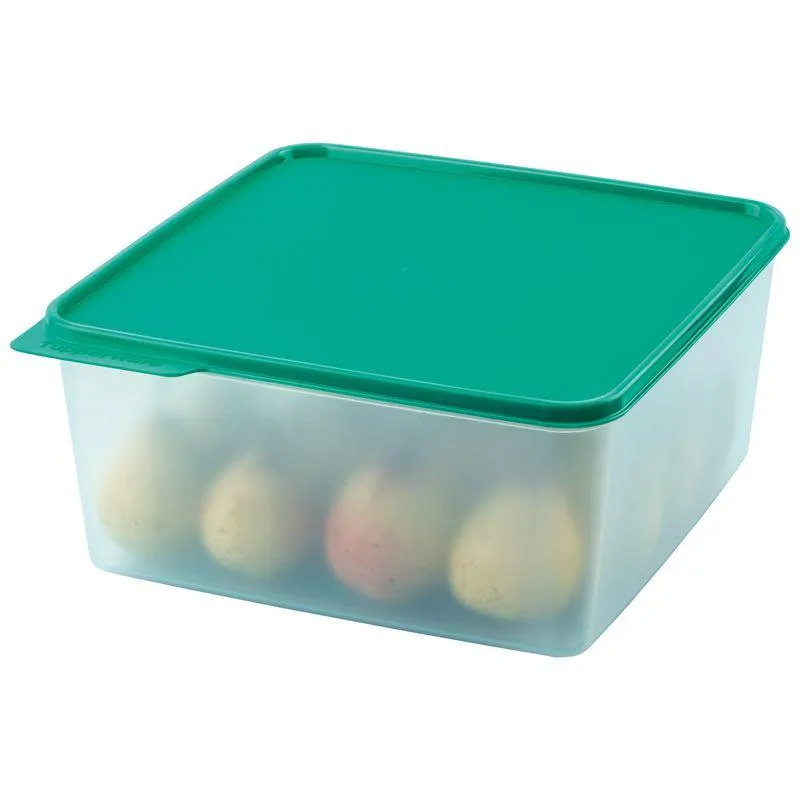 Basic Line 5 Litros Turquesa