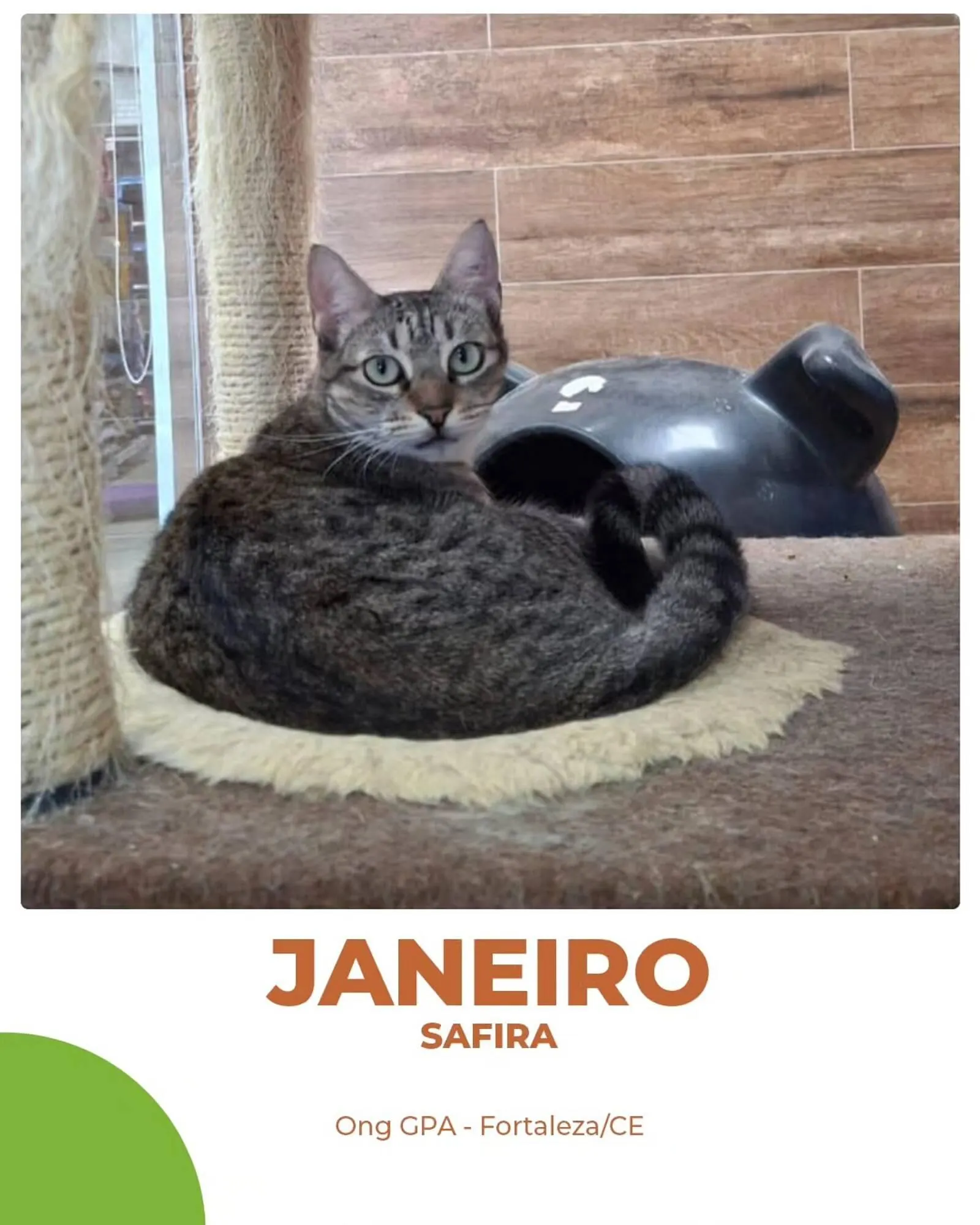 Encarte de Catálogo Cobasi 2 de julho até 10 de julho 2025 - Pagina 2