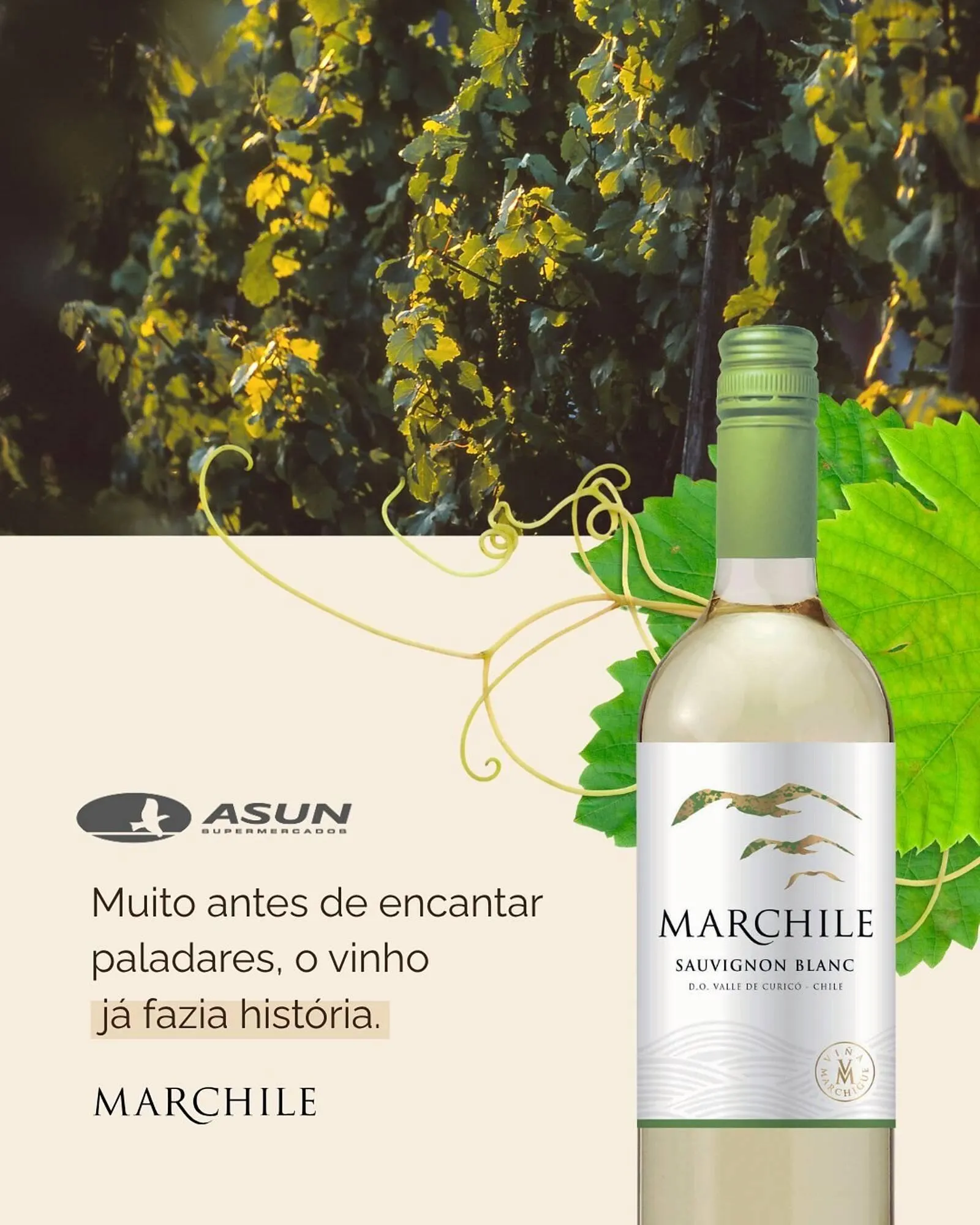 Encarte de Catálogo Asun 22 de junho até 28 de junho 2025 - Pagina 1