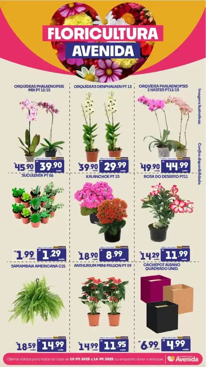 Encarte de Descontos e promoções 15 de abril até 16 de abril 2025 - Pagina 17